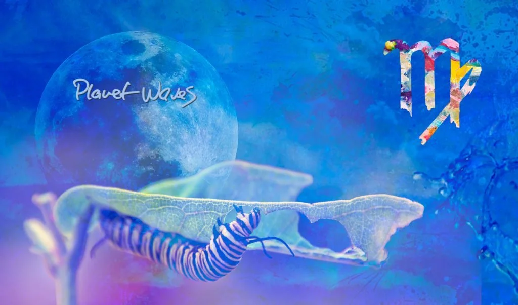 Coming Soon - Virgo in Motion