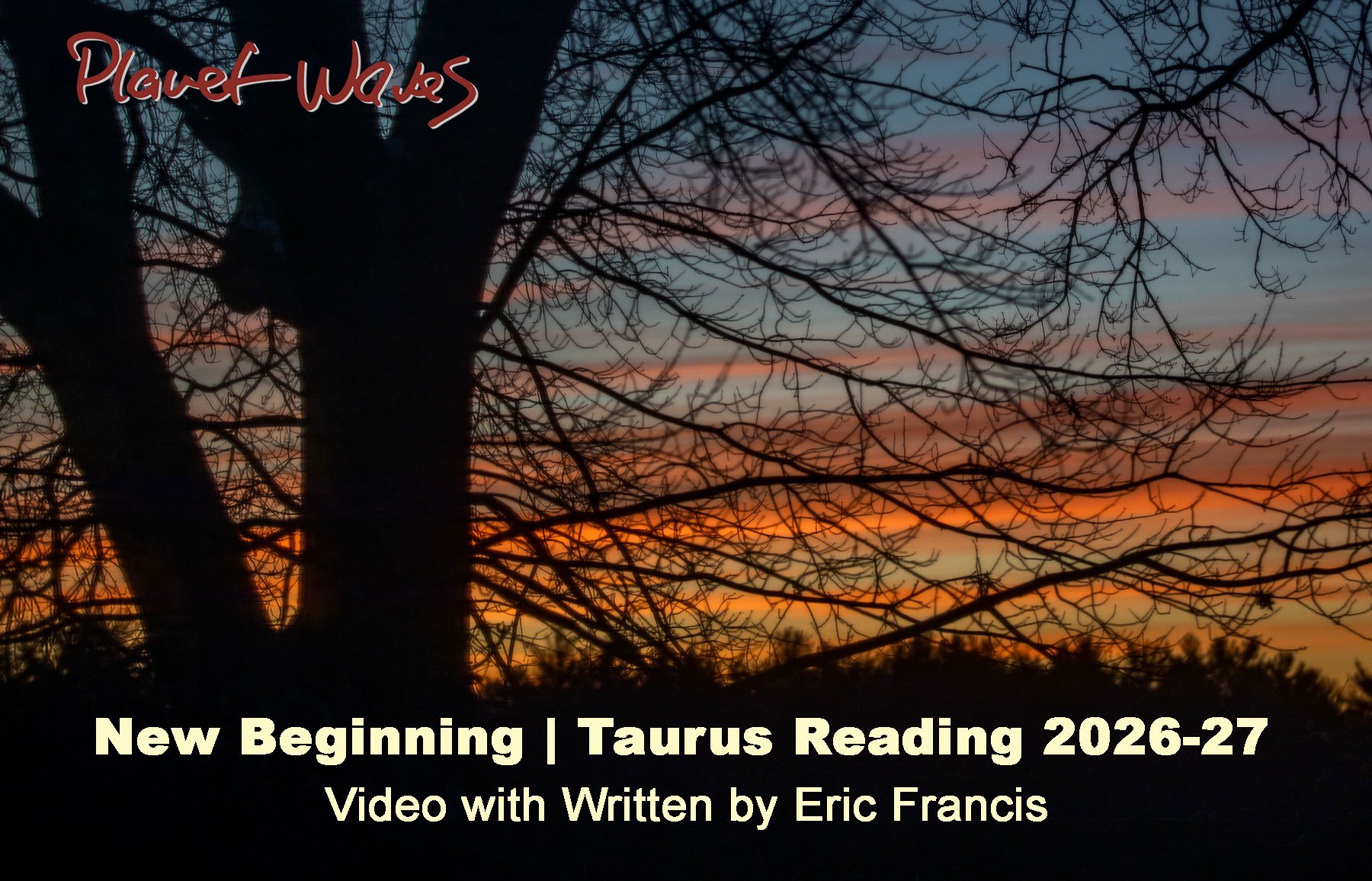 Taurus in Motion