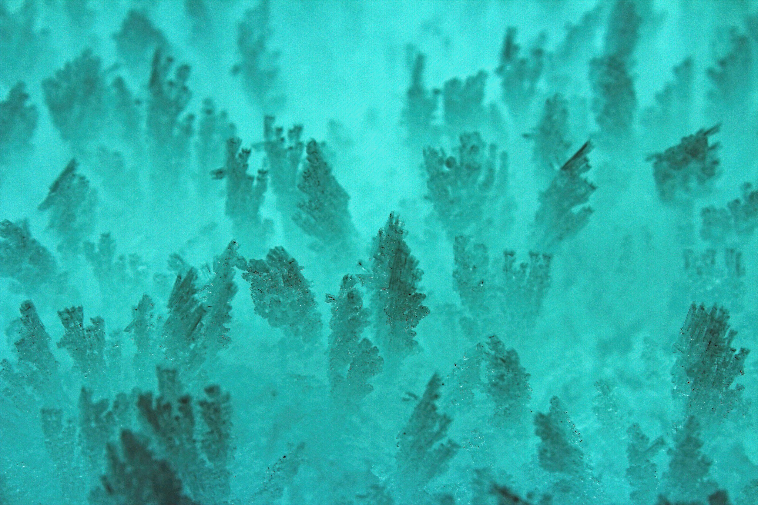 Mitochondrien: Die wahren Kraftwerke Ihrer Zellen