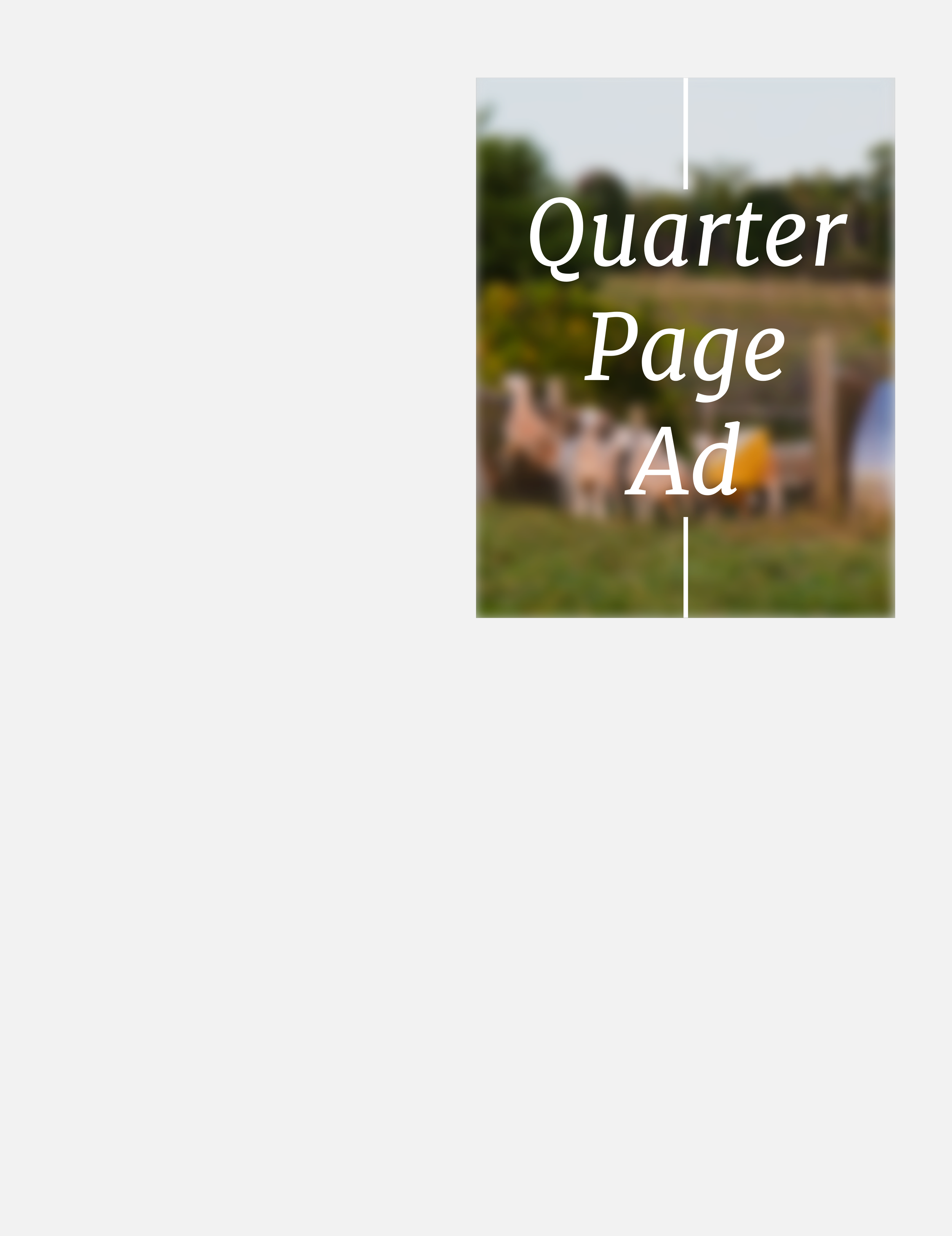 Quarter Page Ad.png