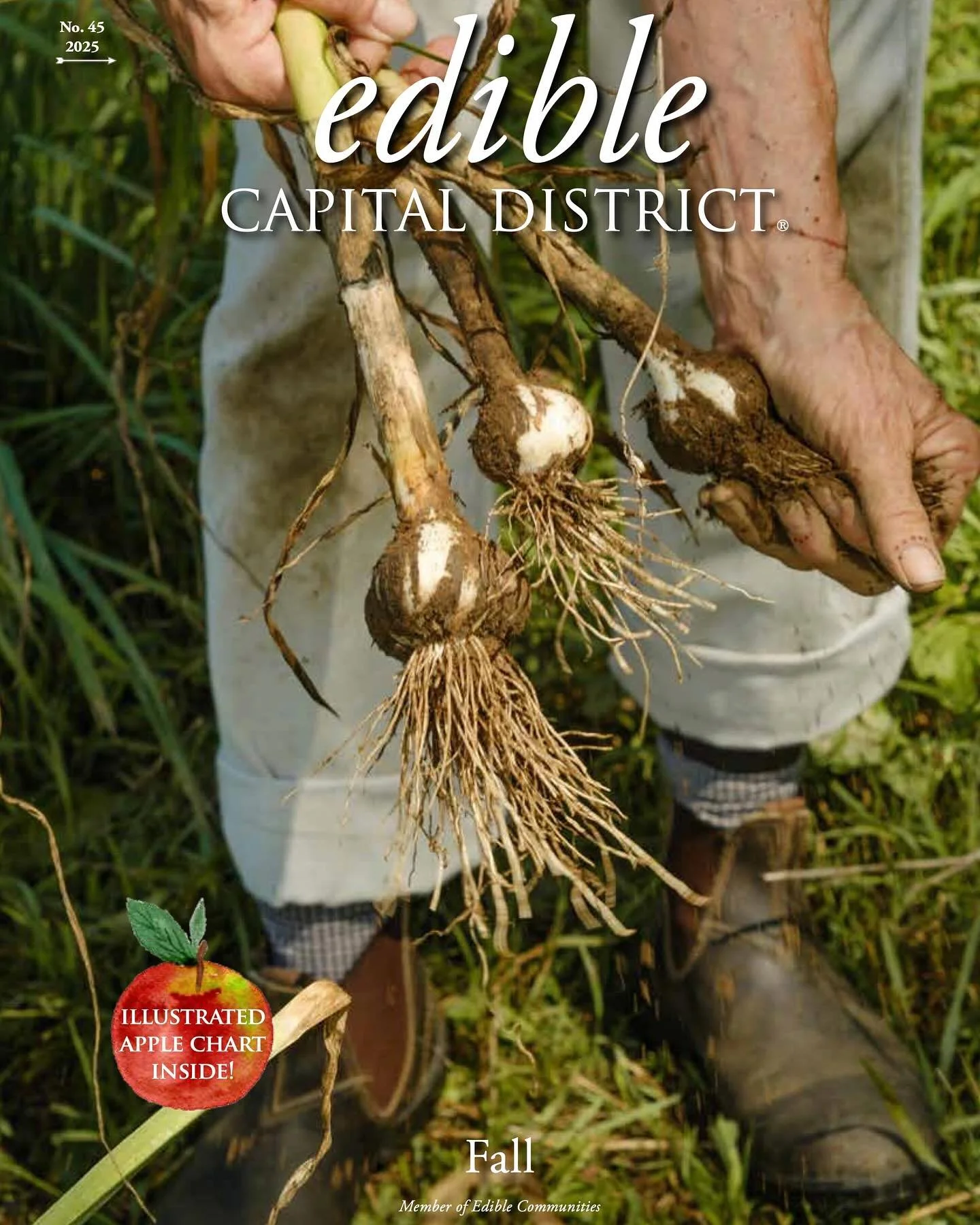 Our fall issue has landed! ✨🍎🍂 Looking ahead to crisp, autumn days, this issue celebrates seasonal produce like garlic and apples; it features seasonal gatherings like the Capital District&rsquo;s annual Oktoberfest celebrations and a cozy neighbor