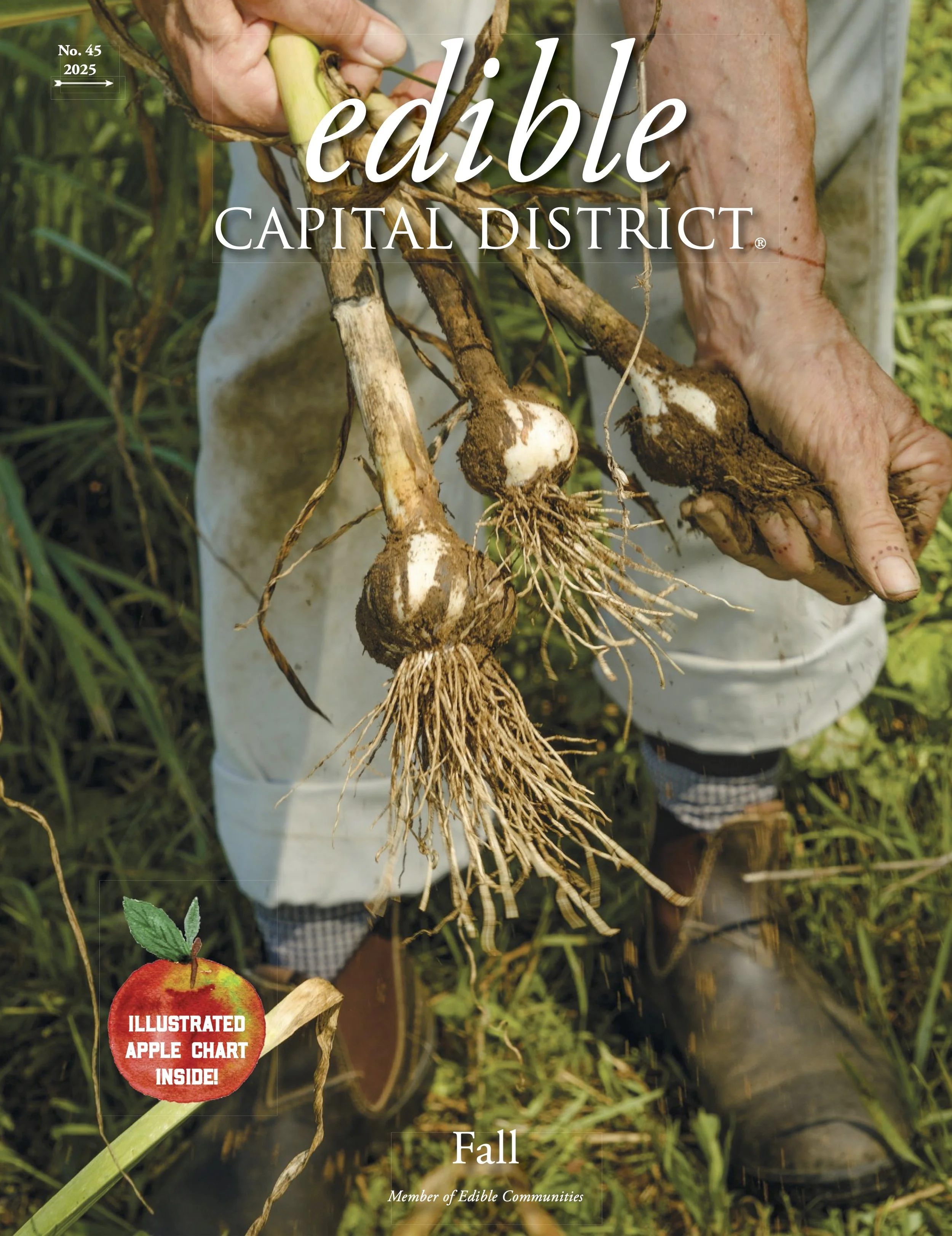 ECD45 F25_Fall Cover.jpg
