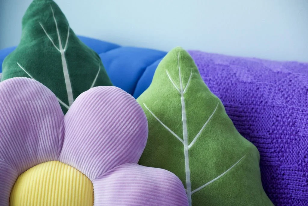 Image of Siovone Bourgeois office with couch and pillows.