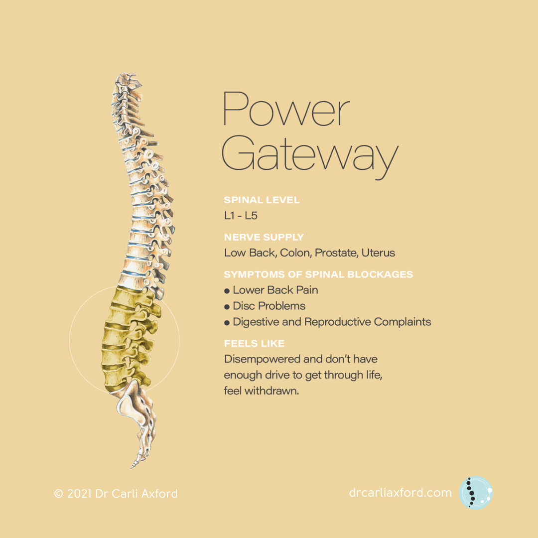 An infographic titled 'Power Gateway' illustrating the spine and its connection to nerve supply, symptoms of spinal blockages, and feelings of disempowerment. The spine is highlighted with a focus on the lumbar region, and text provides details about spinal levels, nerve supply, symptoms, and emotional effects.