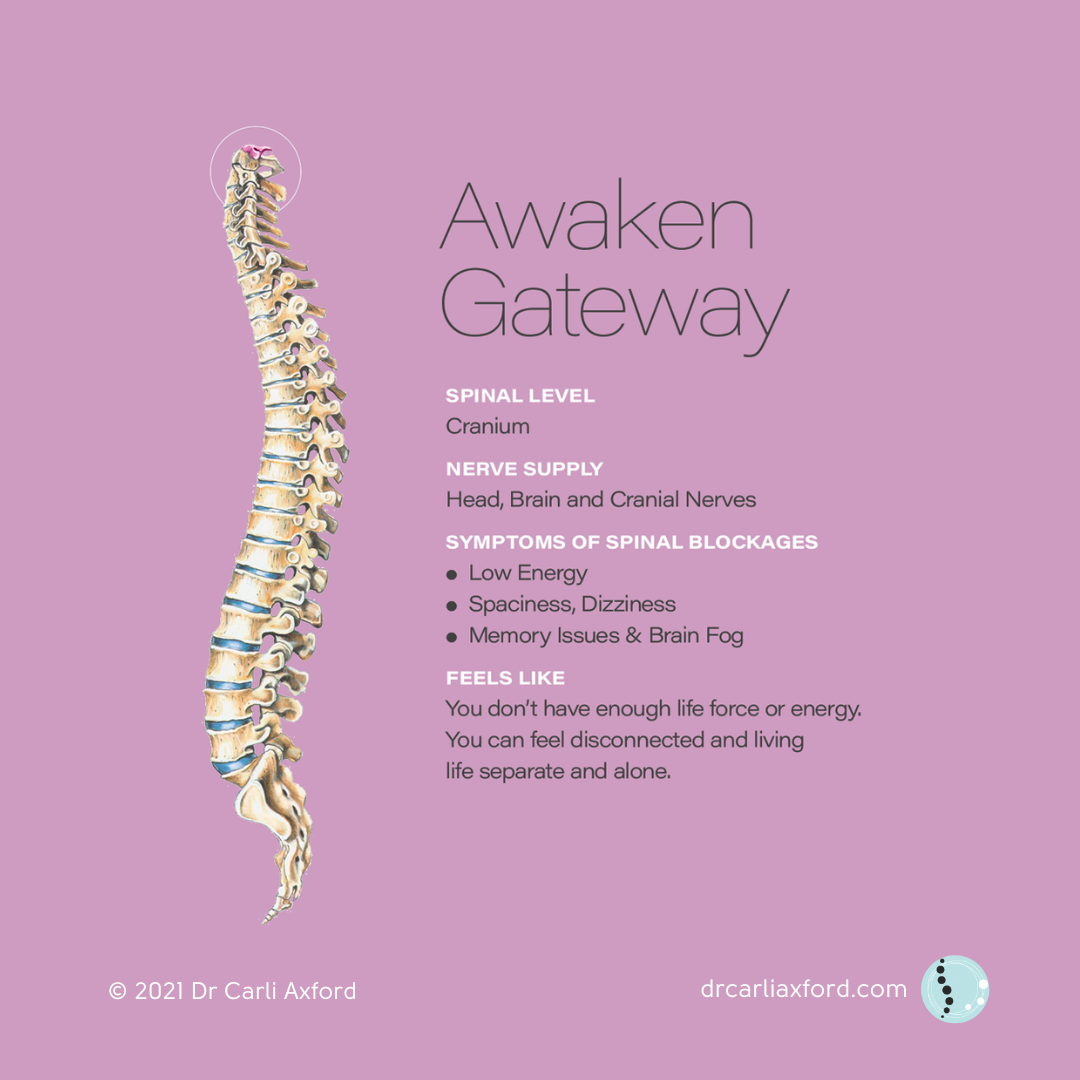 An illustrated human spine on a purple background with text about awakening the spinal gateway, including spinal level, nerve supply, symptoms of spinal blockages, and feelings associated with these blockages.