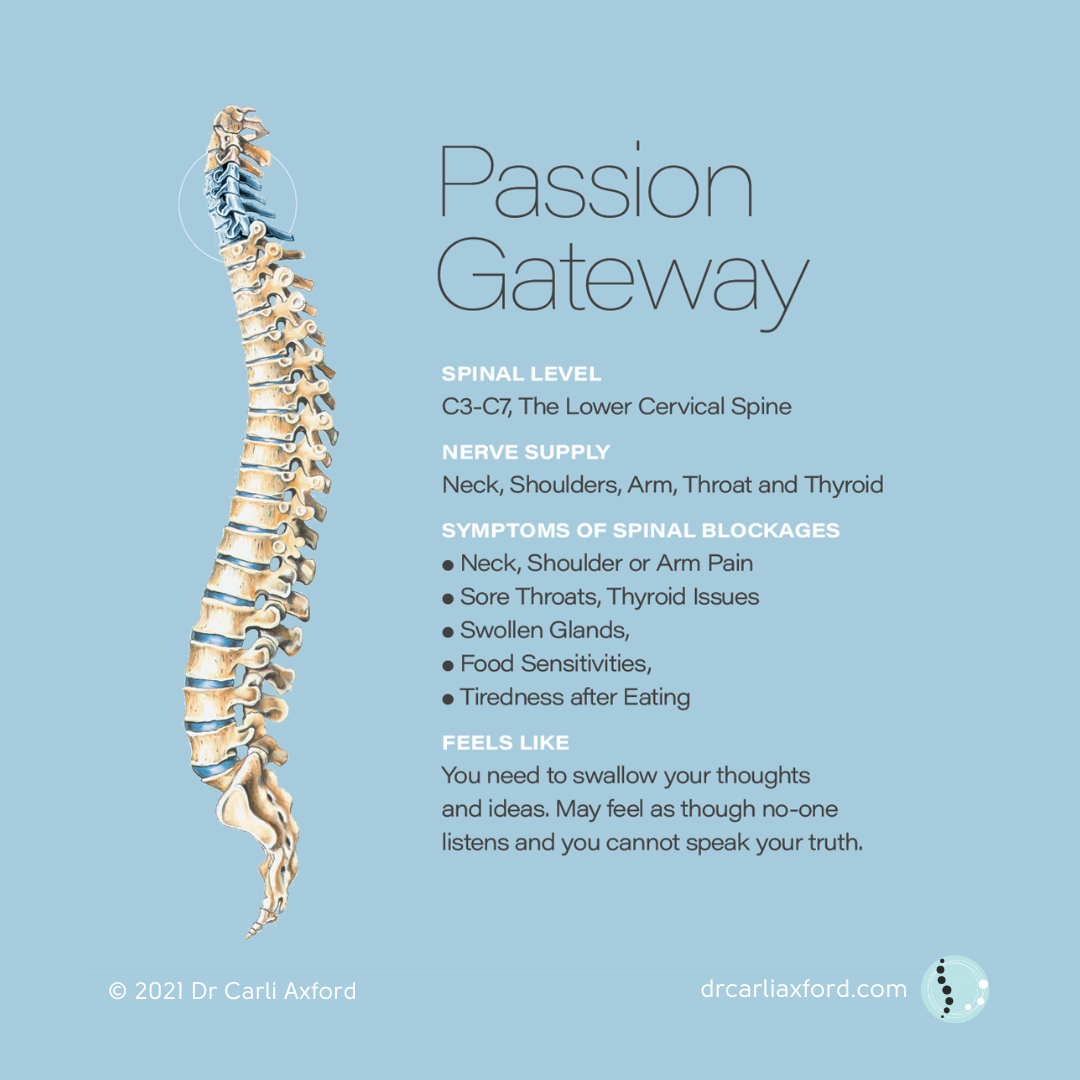 An infographic titled "Passion Gateway" showing a diagram of the lower cervical spine (C3-C7). The infographic provides information about spinal level, nerve supply, symptoms of spinal blockages, and how it feels, with contact details at the bottom.