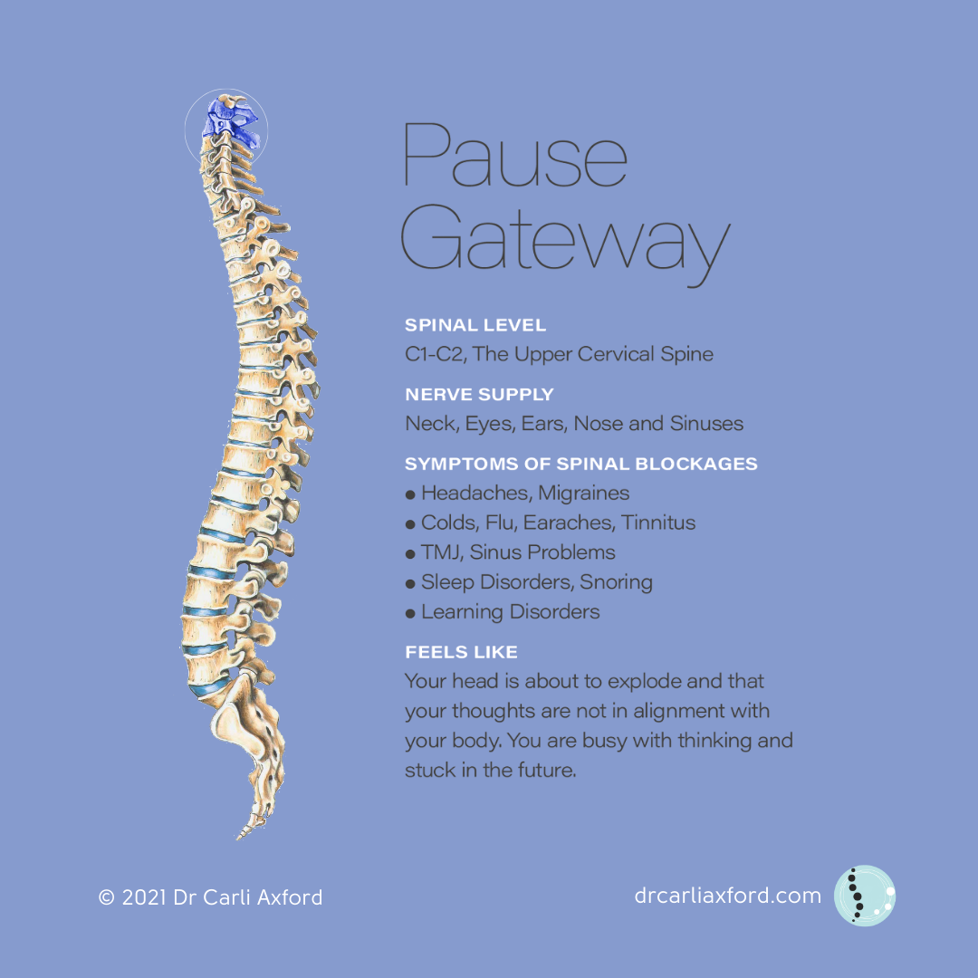 An informational graphic titled "Pause Gateway" featuring an illustration of the upper cervical spine (C1-C2) with text about spinal levels, nerve supply, symptoms of spinal blockages, and feelings associated with such issues, on a light blue background.
