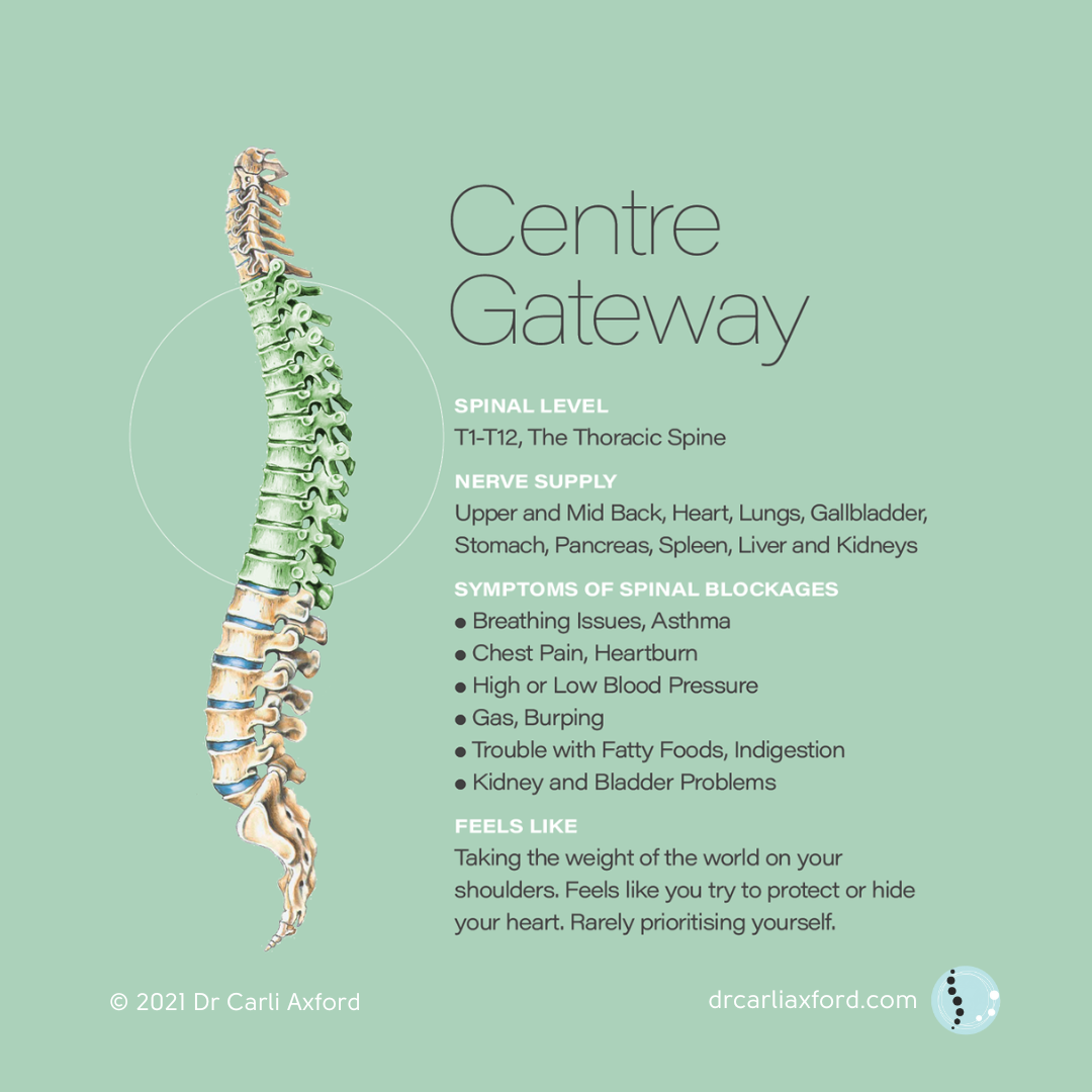 An infographic titled 'Centre Gateway' highlighting the thoracic spine from T1 to T12. It includes information about nerve supply, symptoms of spinal blockages like breathing issues, chest pain, high or low blood pressure, gas, burping, digestion problems, and kidney or bladder issues. The infographic explains that the thoracic spine feels like carrying the weight of the world on your shoulders and relates to protecting or hiding your heart.