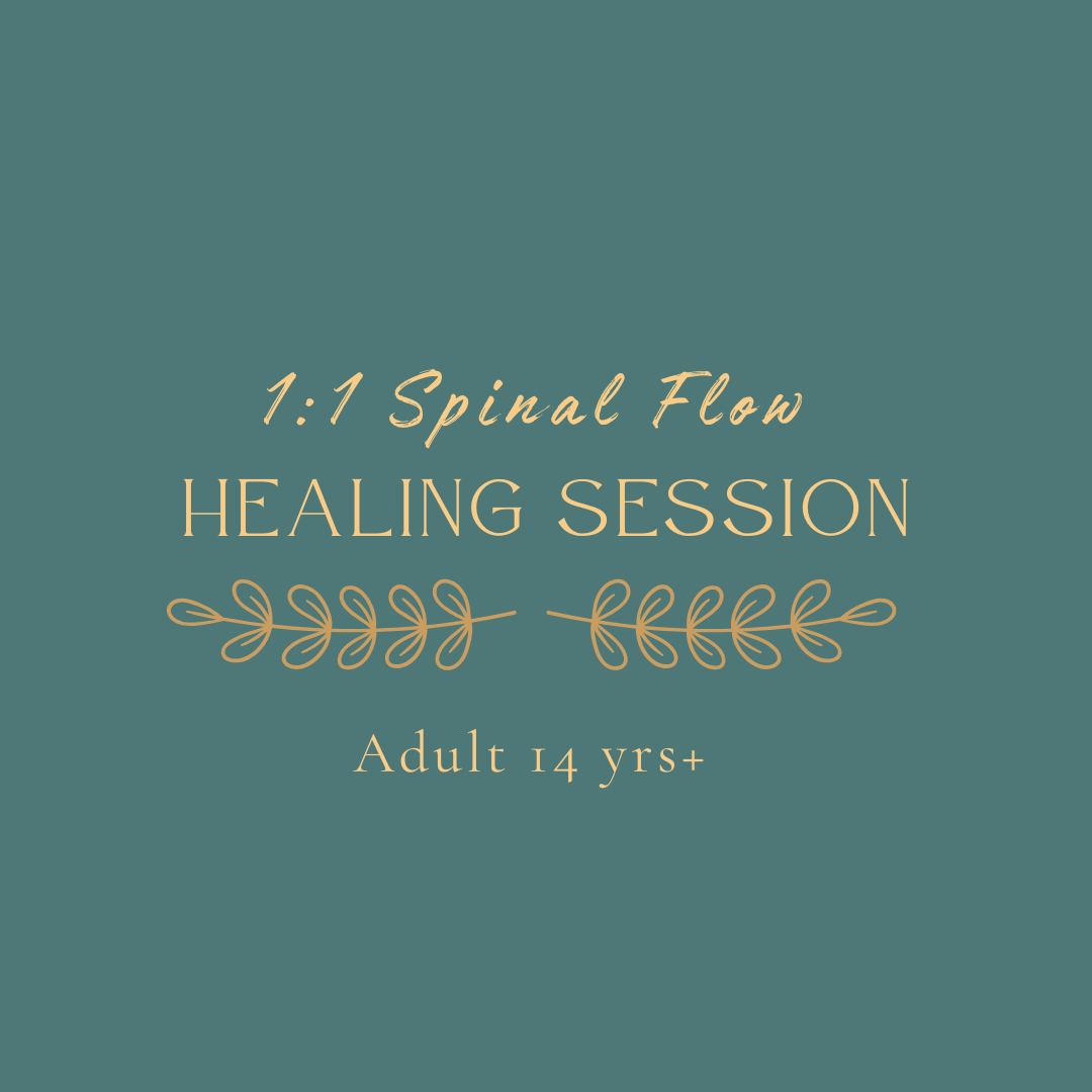 A digital graphic promoting a 1:1 spinal flow healing session for adults 14 years and older, with decorative leaf designs on a teal background.