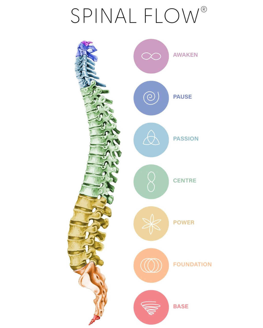 Color-coded illustration of a human spine with labels indicating energy flow points: Awaken (purple), Pause (blue), Passion (light blue), Centre (green), Power (yellow), Foundation (orange), Base (red).