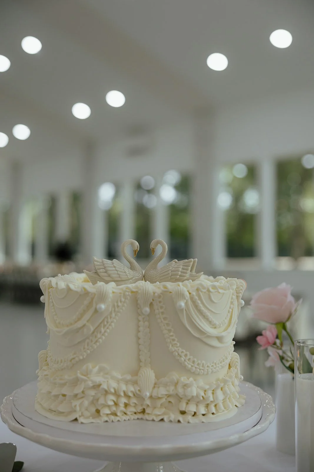TBPhoto2026-27-2.jpg