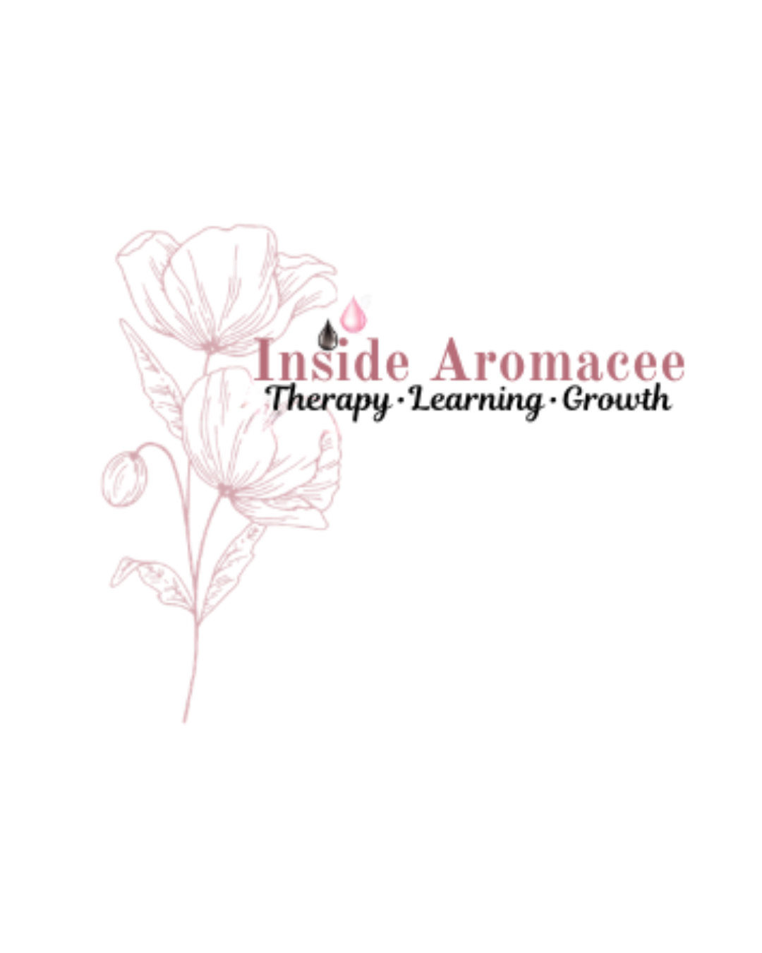 Aromacee