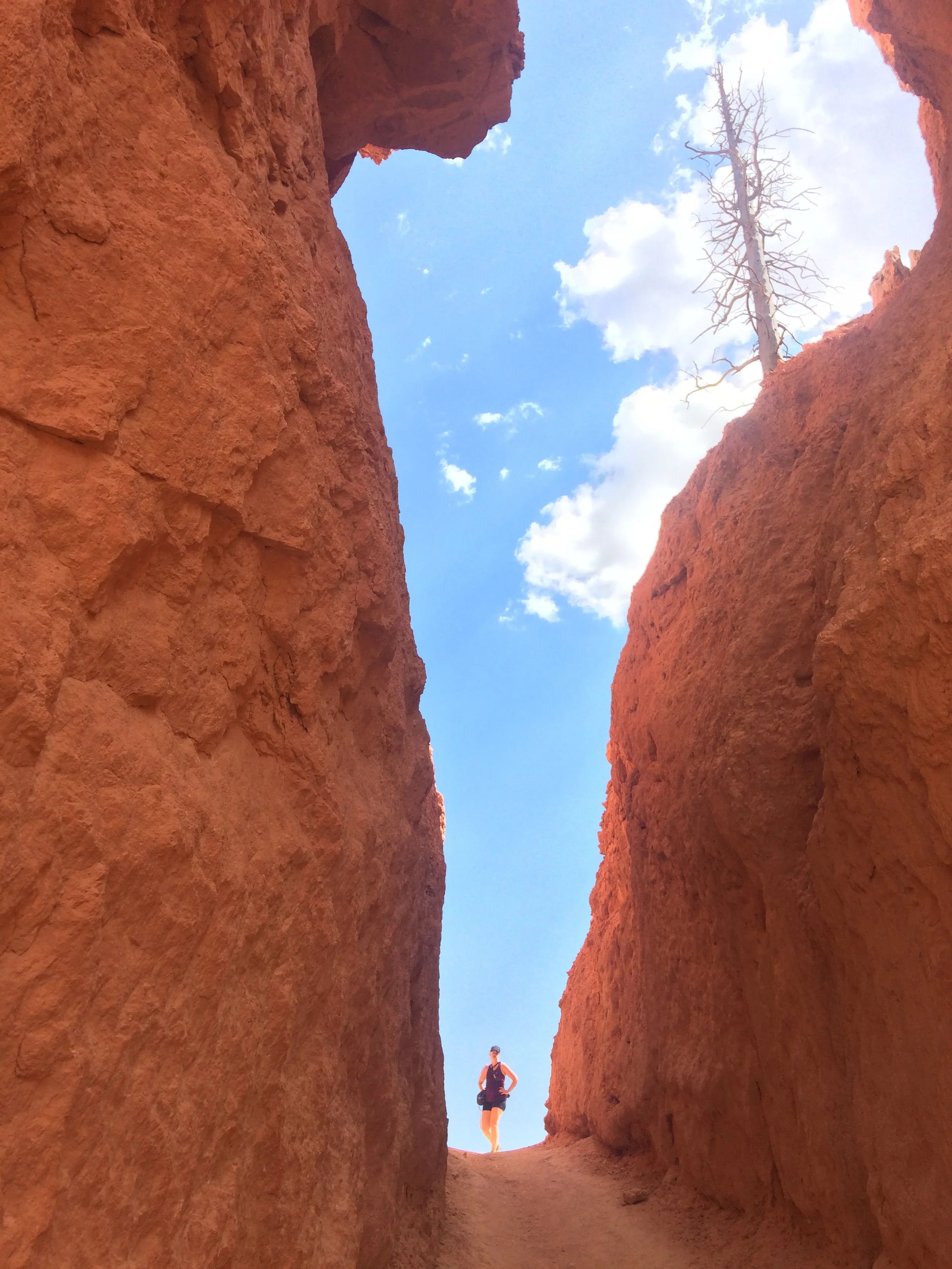 emotions climate emergency.JPG