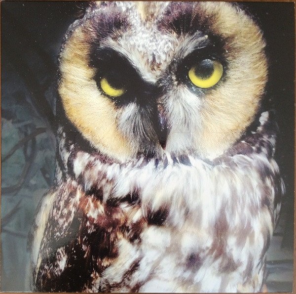 low : ones and sixes (pre-owned LP)