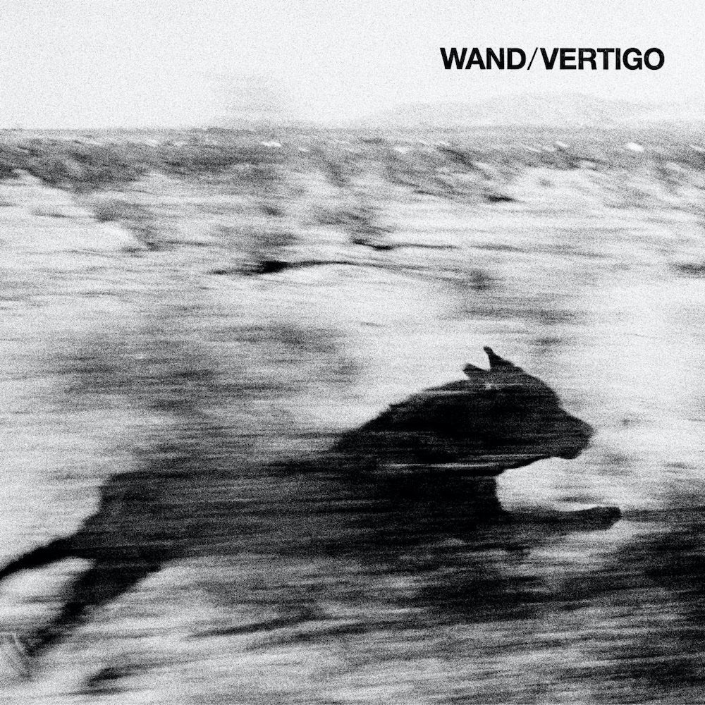 wand : vertigo (LP)