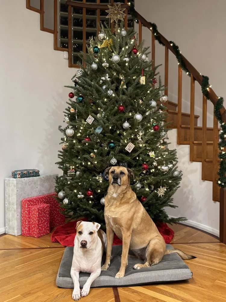 Just…give it a rest