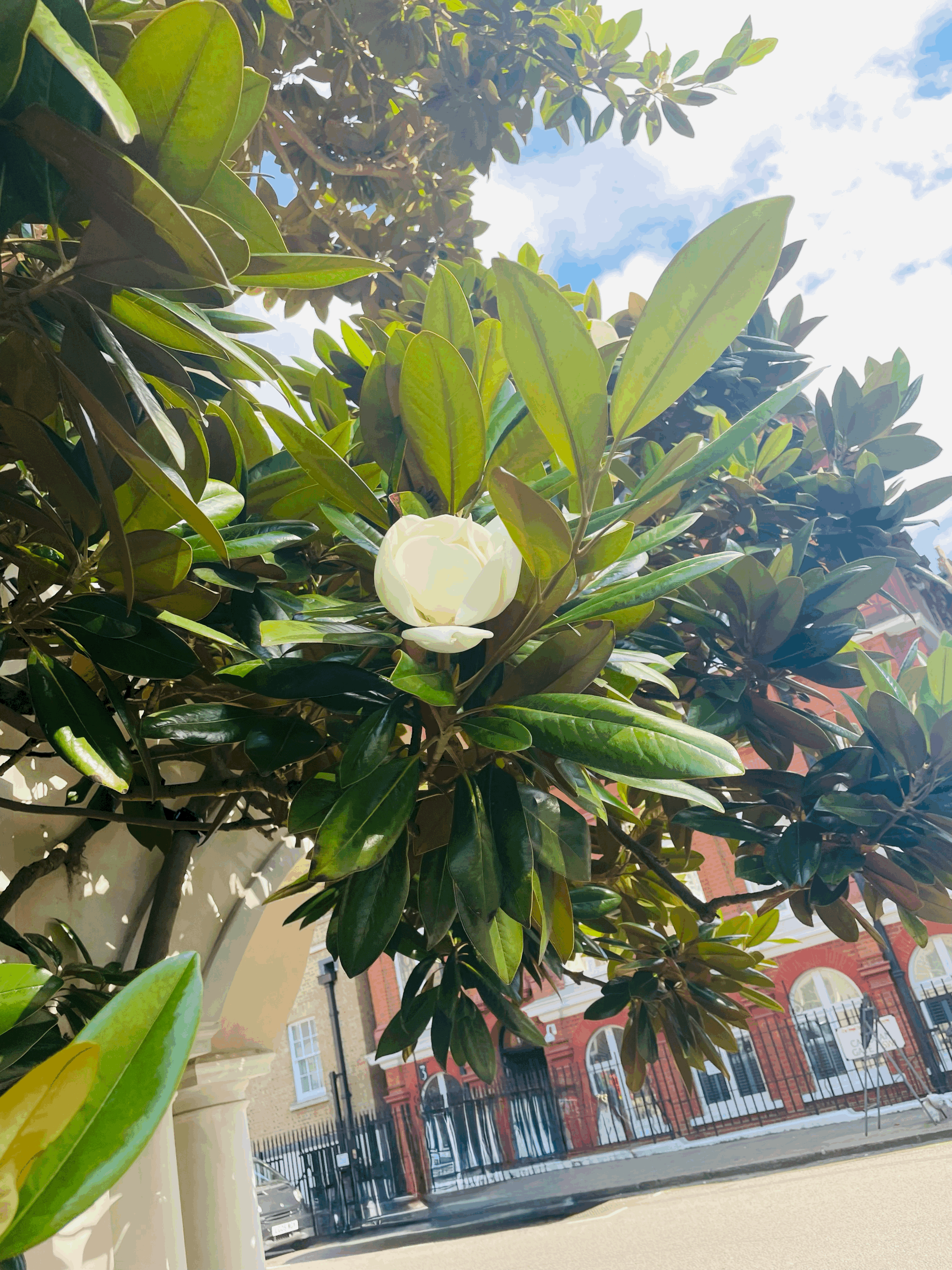 Spring in London: Elegance and Luxury in Mayfair