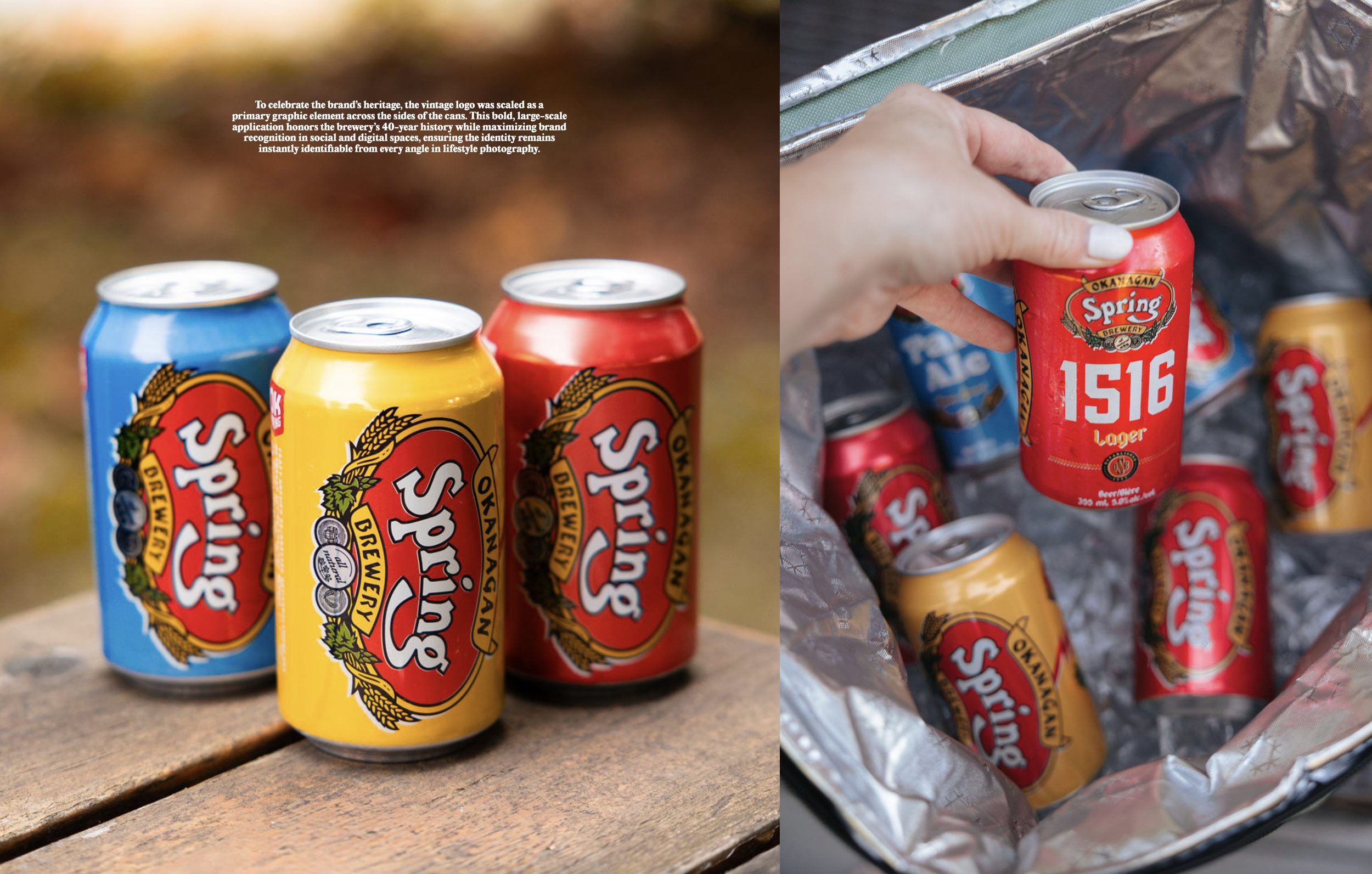 9CB78AD0-717E-8BD8-1987-E1E3577C0A23.png