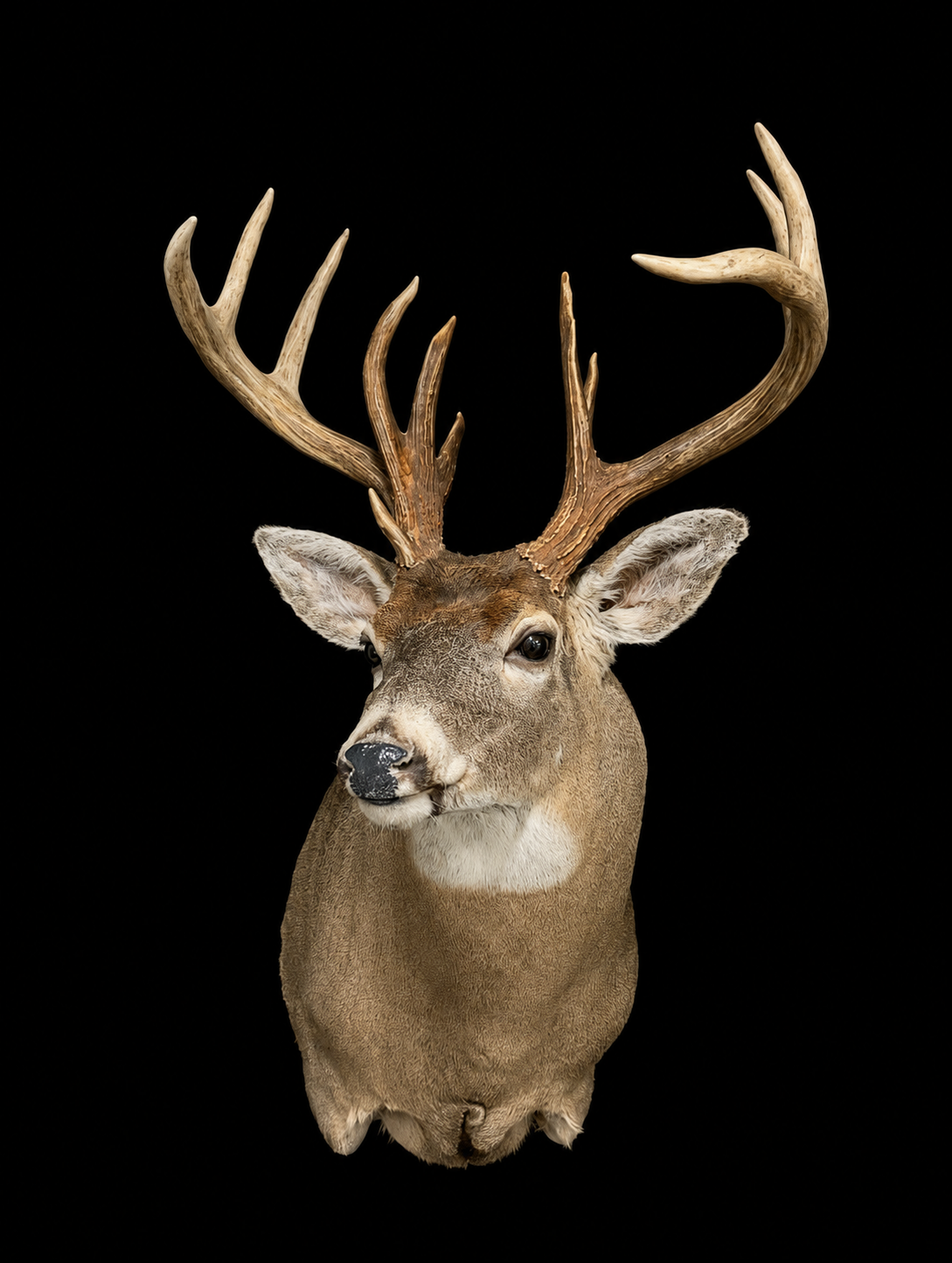 IMG_1525.png