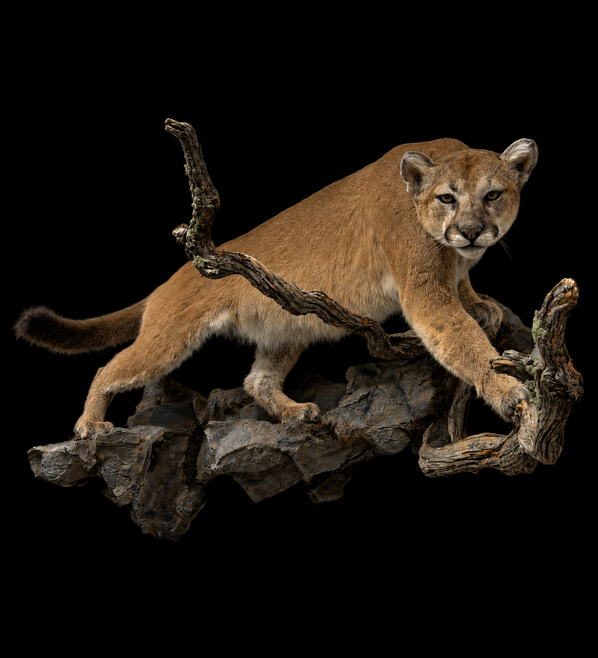 IMG_1504.png