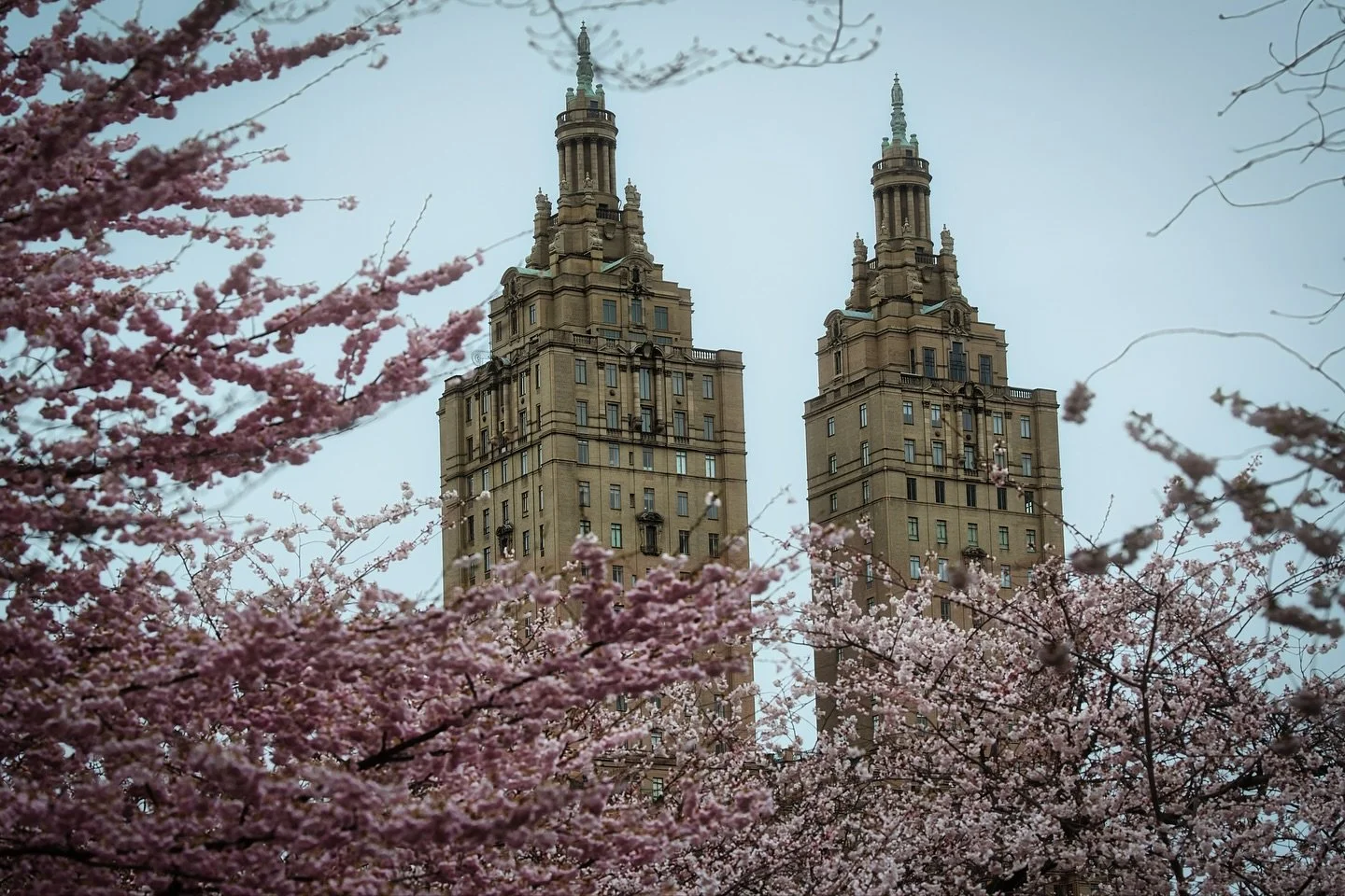 📍 New York, NY, USA

Today a set of photos of a cherry blossom at Central Park in New York where we can see the mix between nature and urban landscapes.

While you can spot cherry blossoms all over the Park, you&rsquo;ll find the most spectacular di