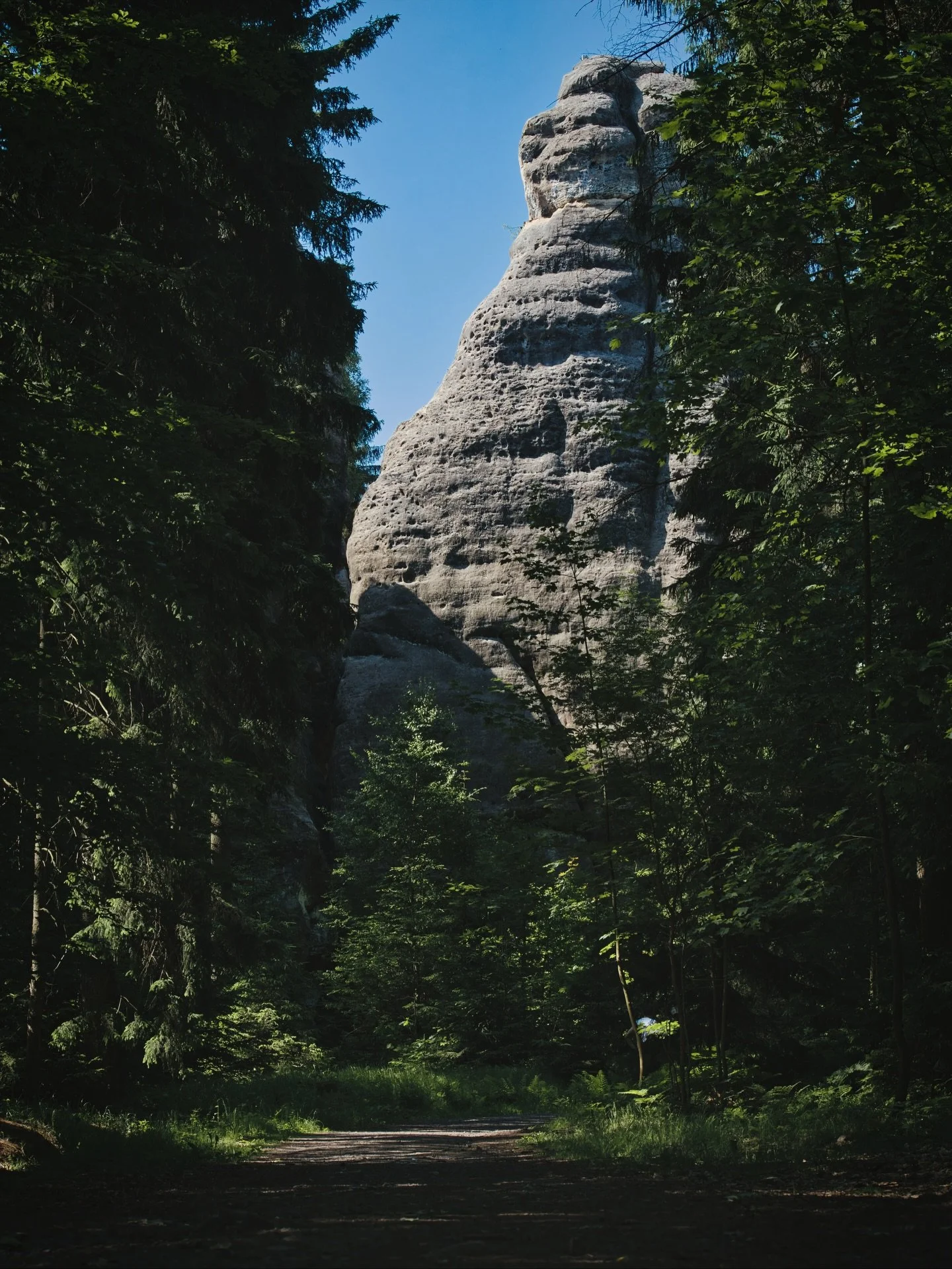 📍 Oybin, Saxony, Germany 

Today another set of photos from a hike at the mountains in Oybin area.

The hike was lead by @riedelmax and it was really nice to see specific spots in area.
Here you will find a dense and well-marked network of hiking tr