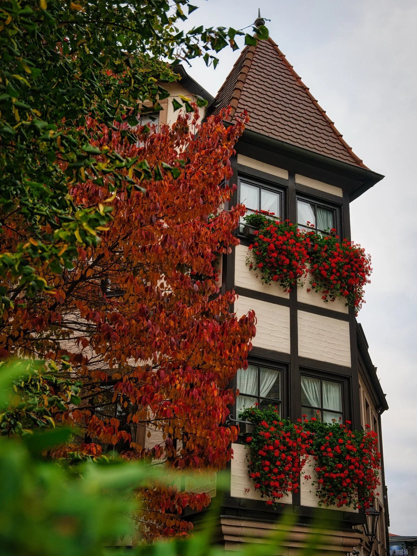 📍 Nuremberg, Bavaria, Germany

For today&rsquo;s post some photos of a walk around Sch&uuml;tt Island in the middle of Nuremberg.

An oasis in the middle of the city: the Sch&uuml;tt island. Nuremberg has its own river island, on which there are sev