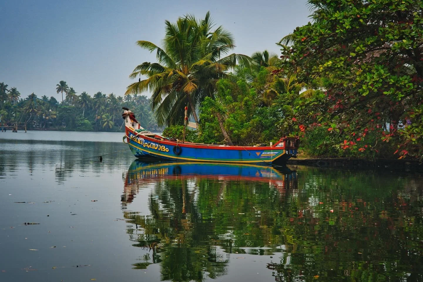 📍 Amritapuri, Kerala, India

Today some photos of my first walk along the backwaters in Amritapuri during my trip to India in the beginning of the year.

The backwaters have a unique ecosystem: Freshwater from the rivers meets the seawater from the 