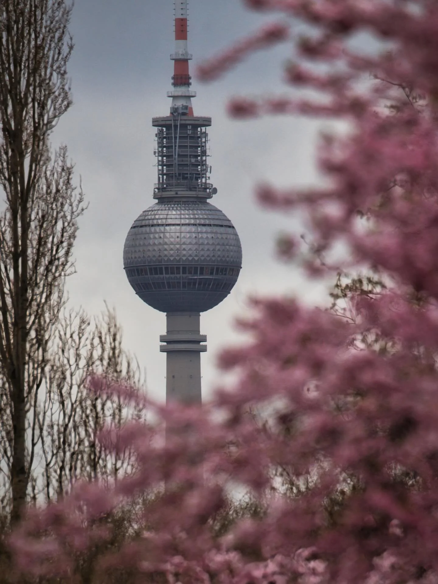 📍 Berlin, Germany

You already saw some of these photos on my short video about what I see and what I take, but today some of the views of Berlin now in Spring.

The Berlin TV Tower presents a breathtaking spectacle when framed by the city&rsquo;s s