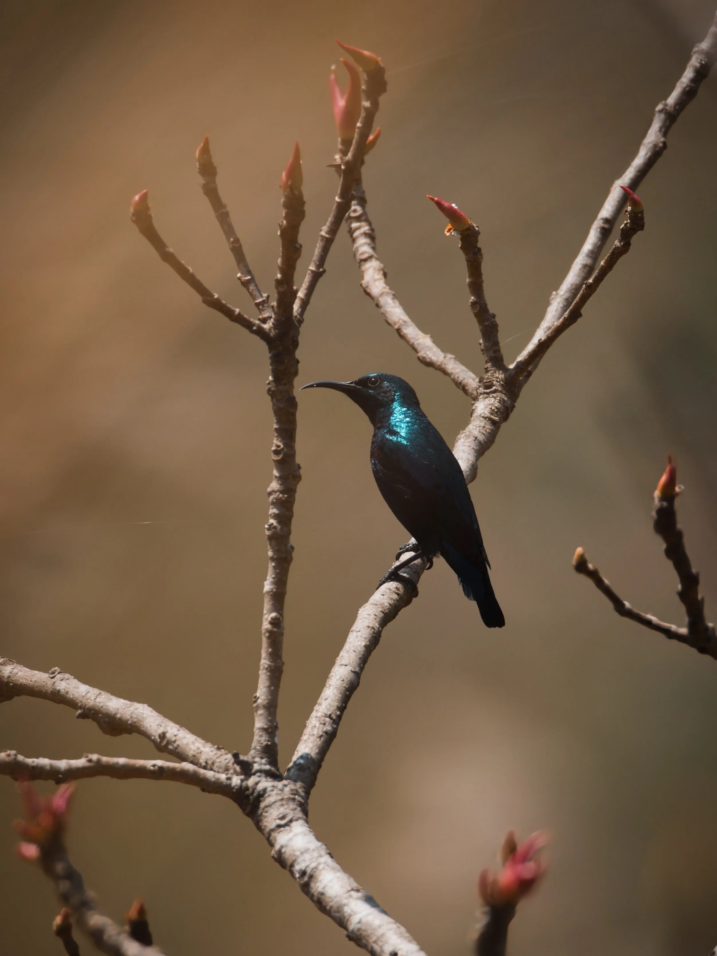 📍Idukki, Kerala, India

Standing at the breezy summit of Hill View Park in Idukki, Kerala, the mist suddenly parted to reveal a flash of brilliant metallic color: a purple sunbird perched gracefully atop a wild blossom. The tiny bird sparkled like a