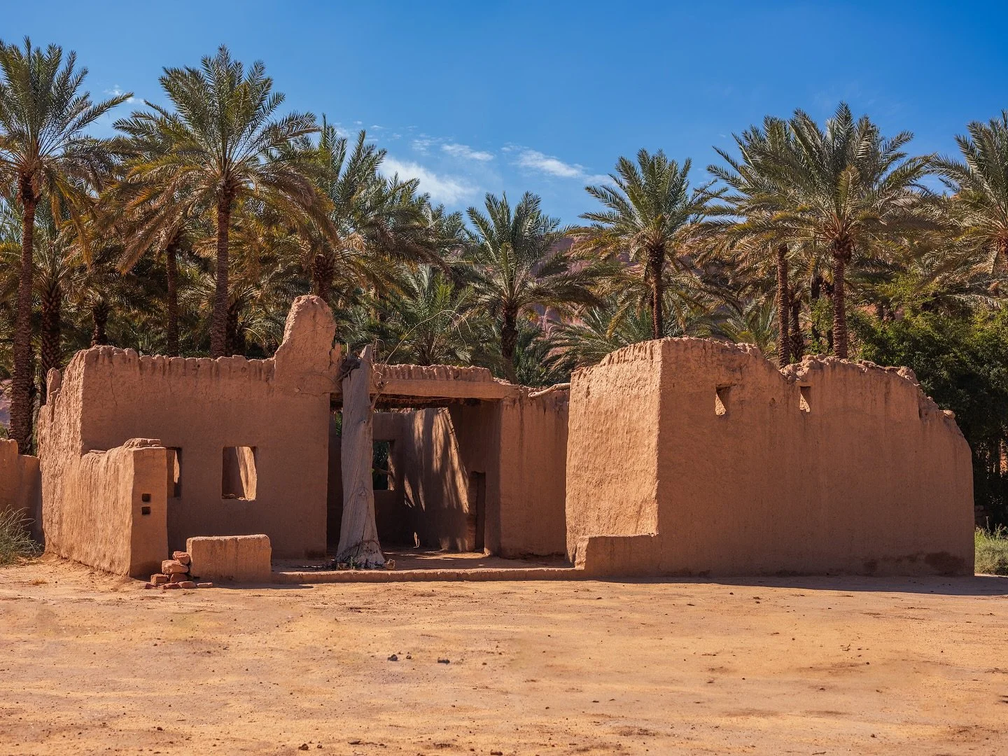 We need a new vacation bro @free.welly 🗺️