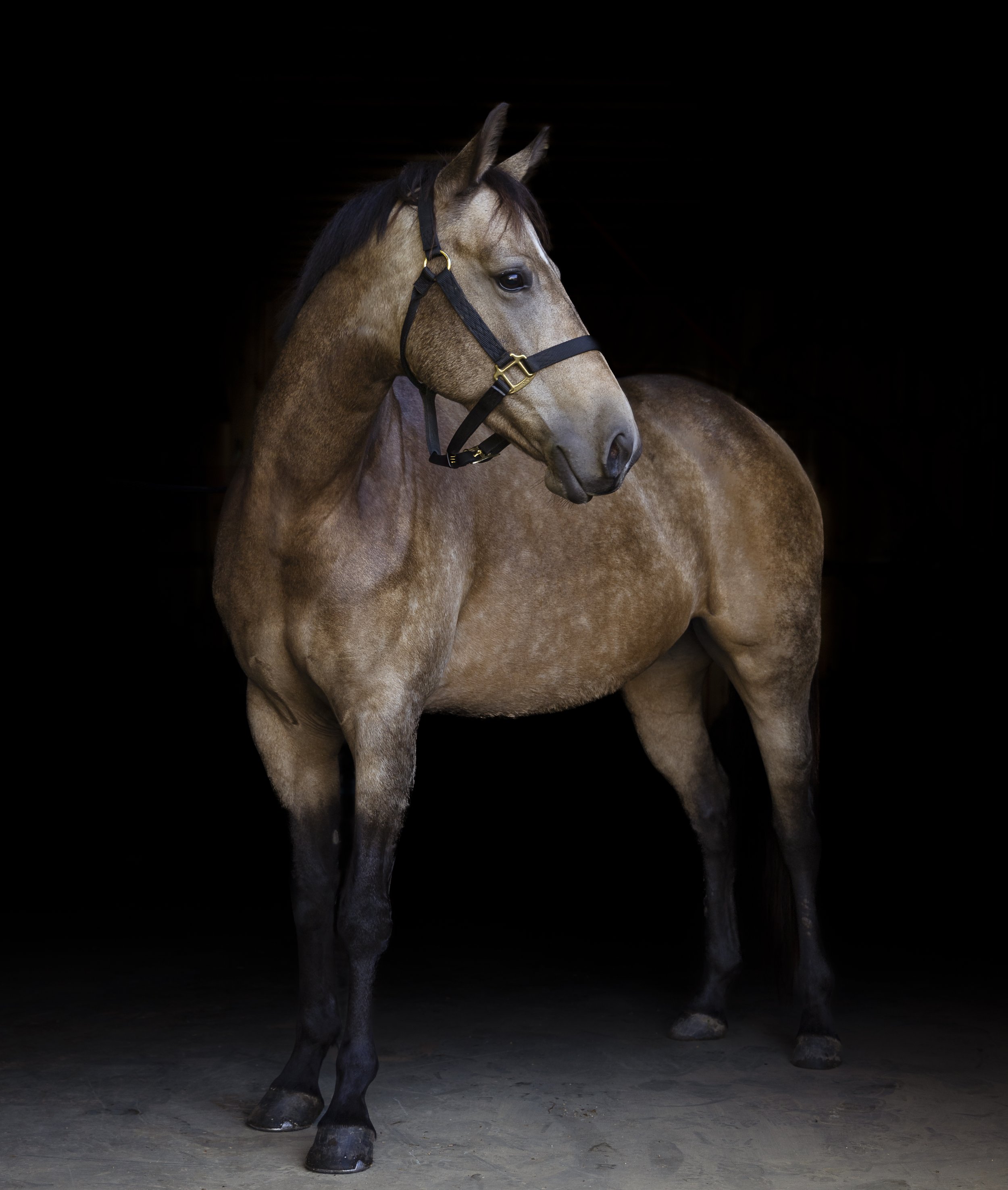 R62_2643-Edit.jpg