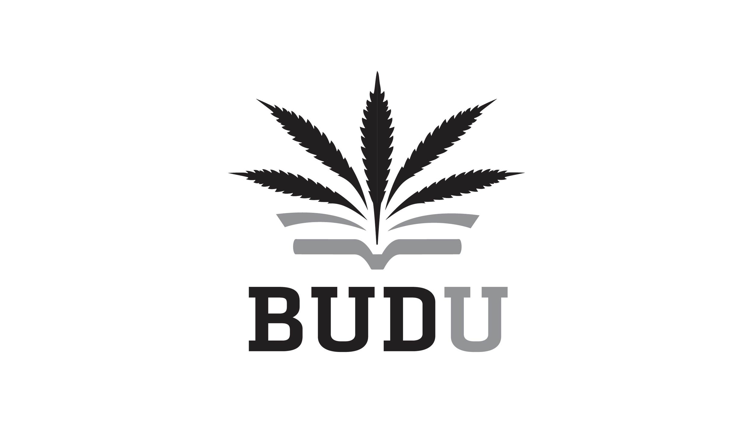 Logo presented to client not chosen.jpg