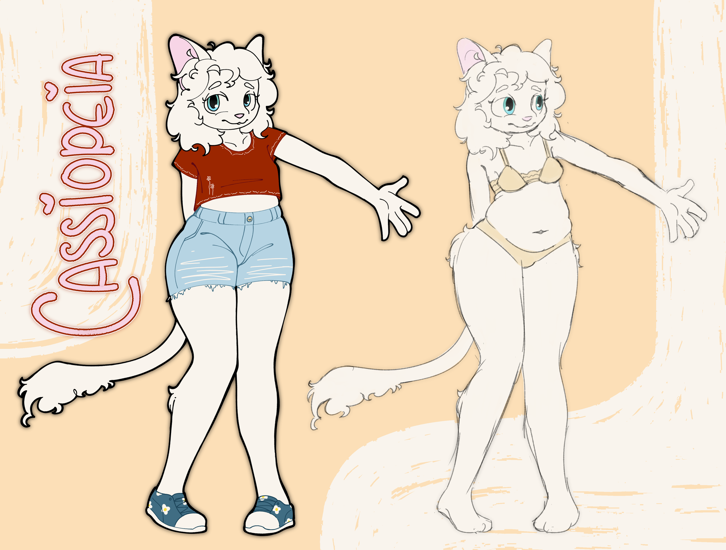Cass ref sheet full