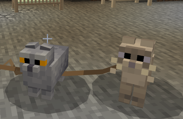 bailey (grey) and sid (yellow) origin