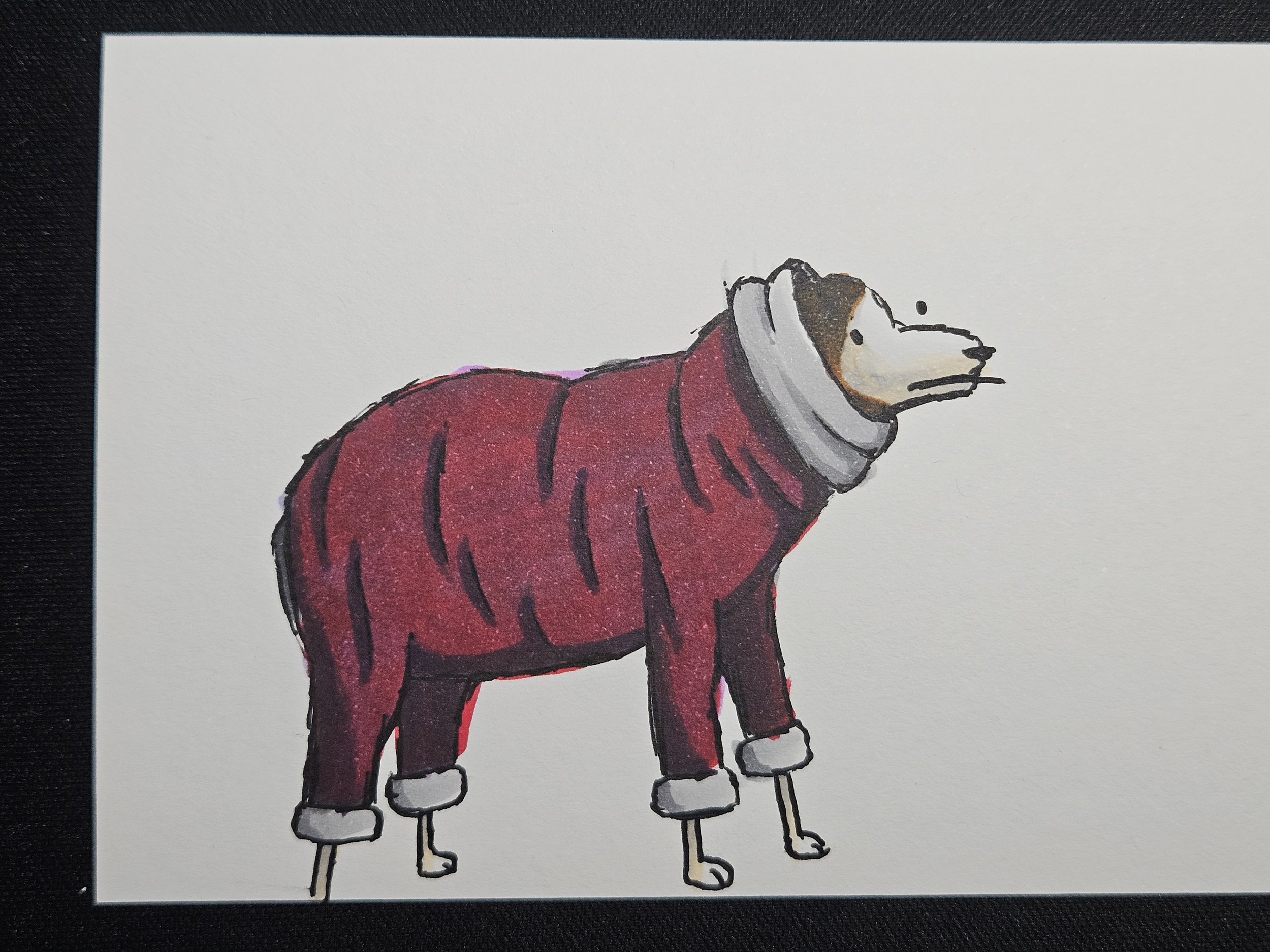 i love that picture of a dog wearing a coat