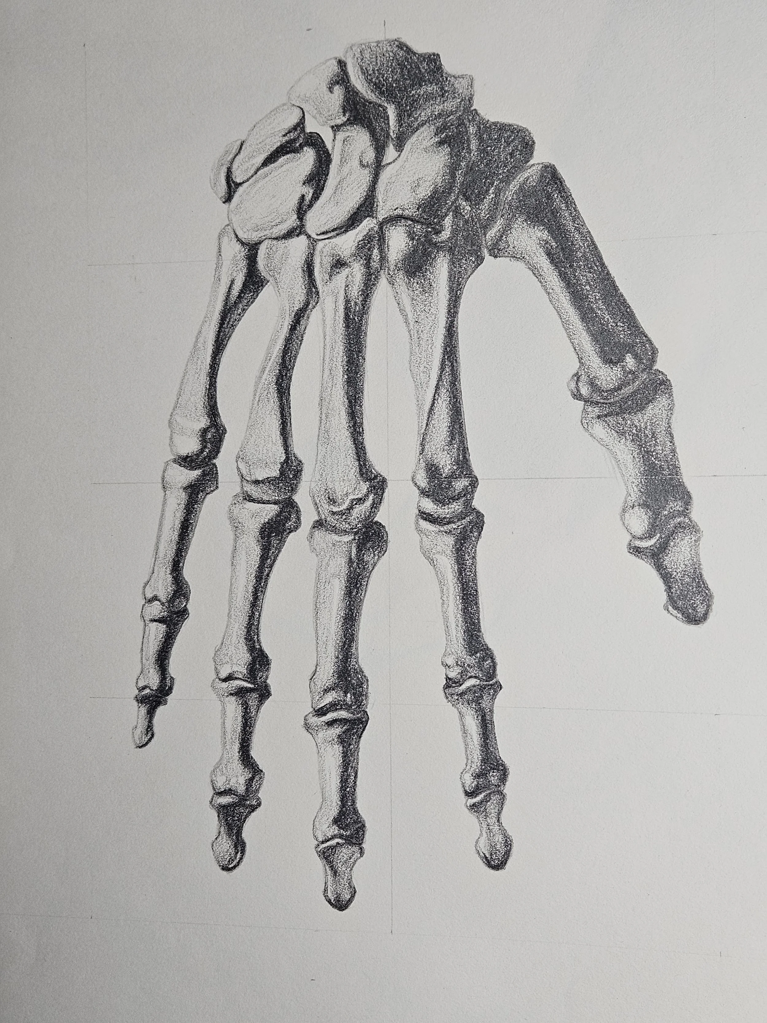 figure drawing - skeletal hand
