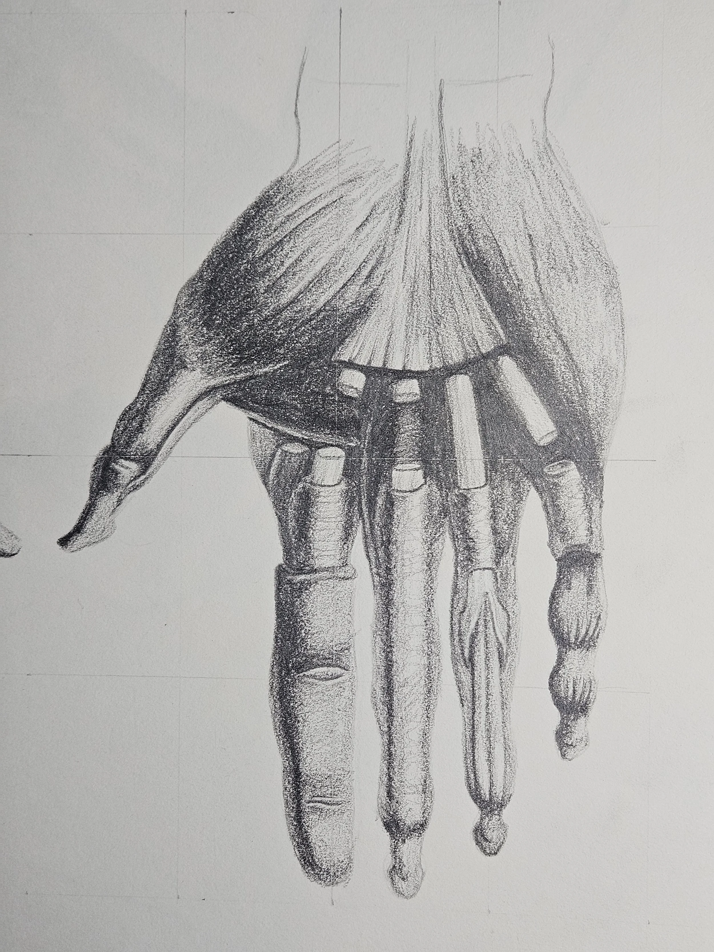 figure drawing - muscular hand front