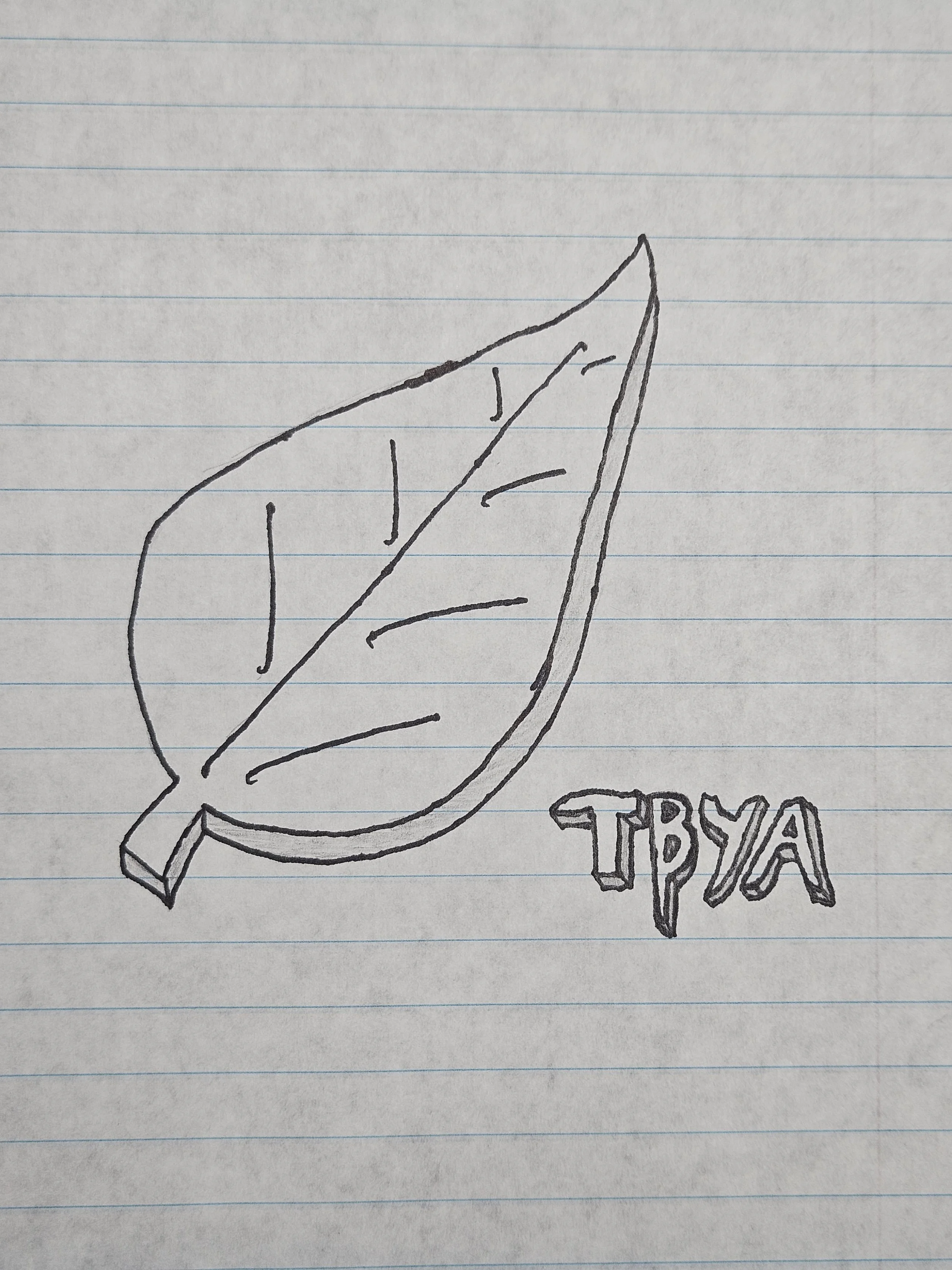 The leaf, "Heuwa" was a weed inside joke my friend group made based on a plastic leaf we found at my house. TBYA stands for The Backyardigans, which is what we referred to ourselves as. I was Pablo