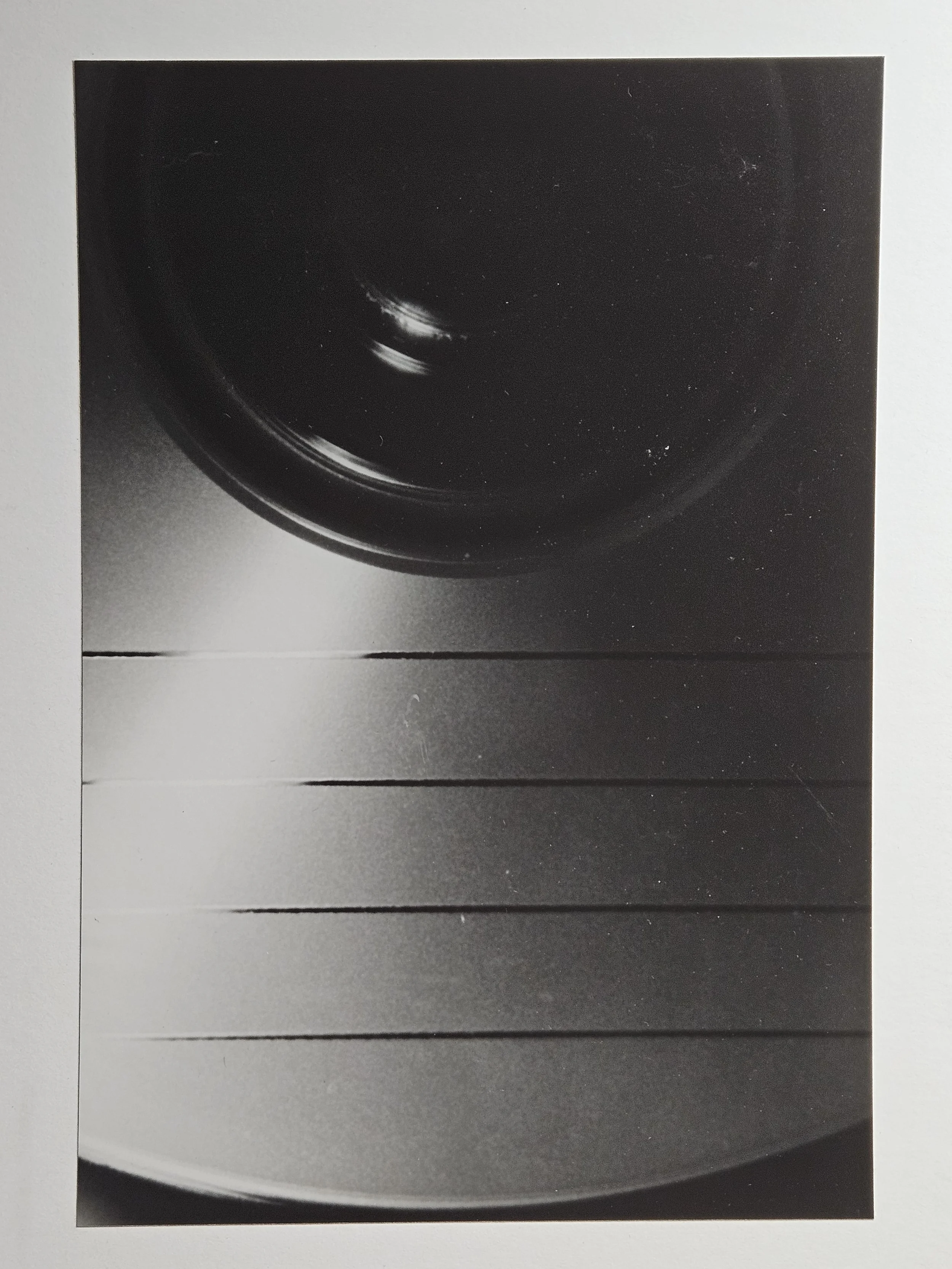 film photography - circle 3