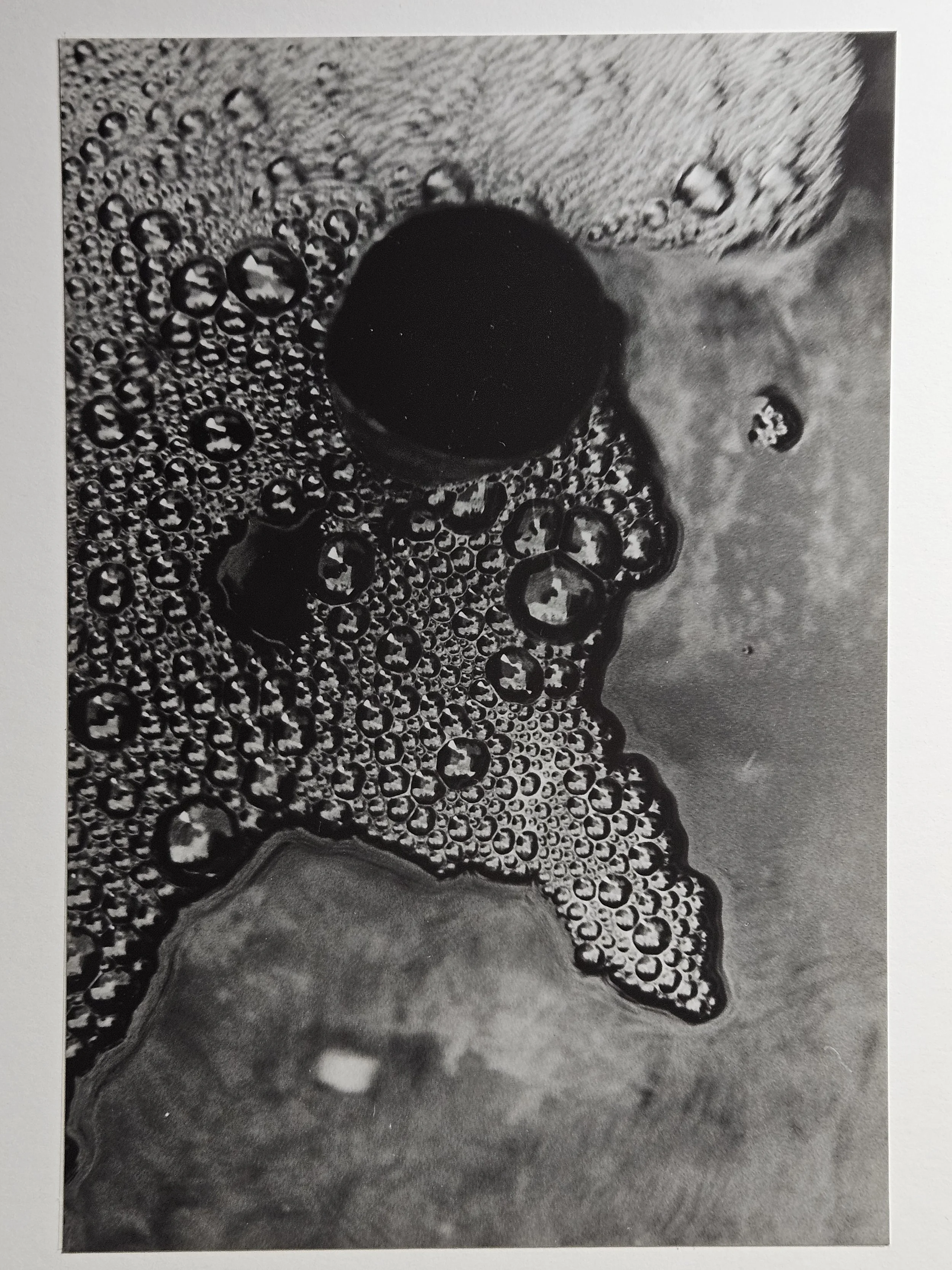 film photography - circle 2