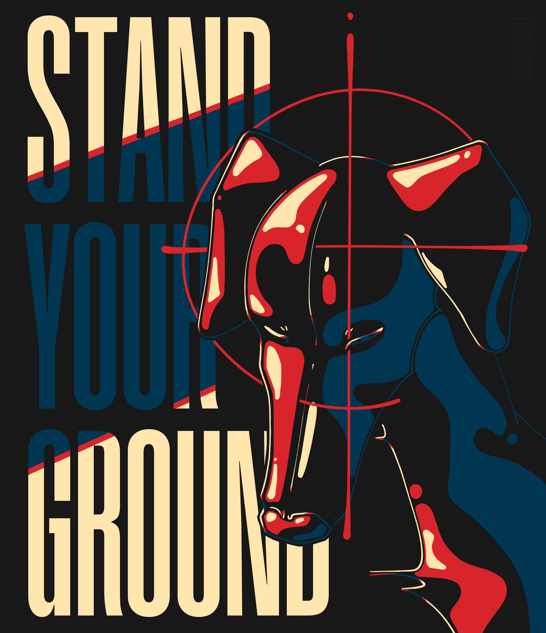Stand Your Ground