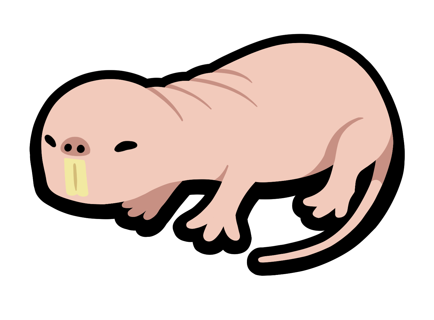 Super Auto Pets Naked Mole Rat