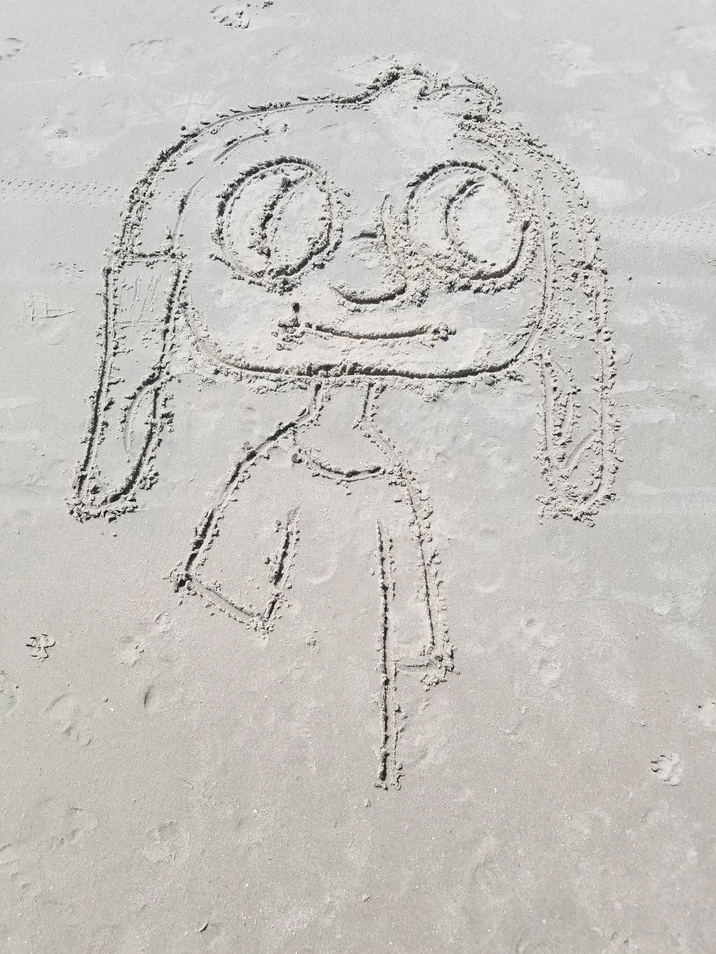 beach doodle 2 (oscar - summer camp island)