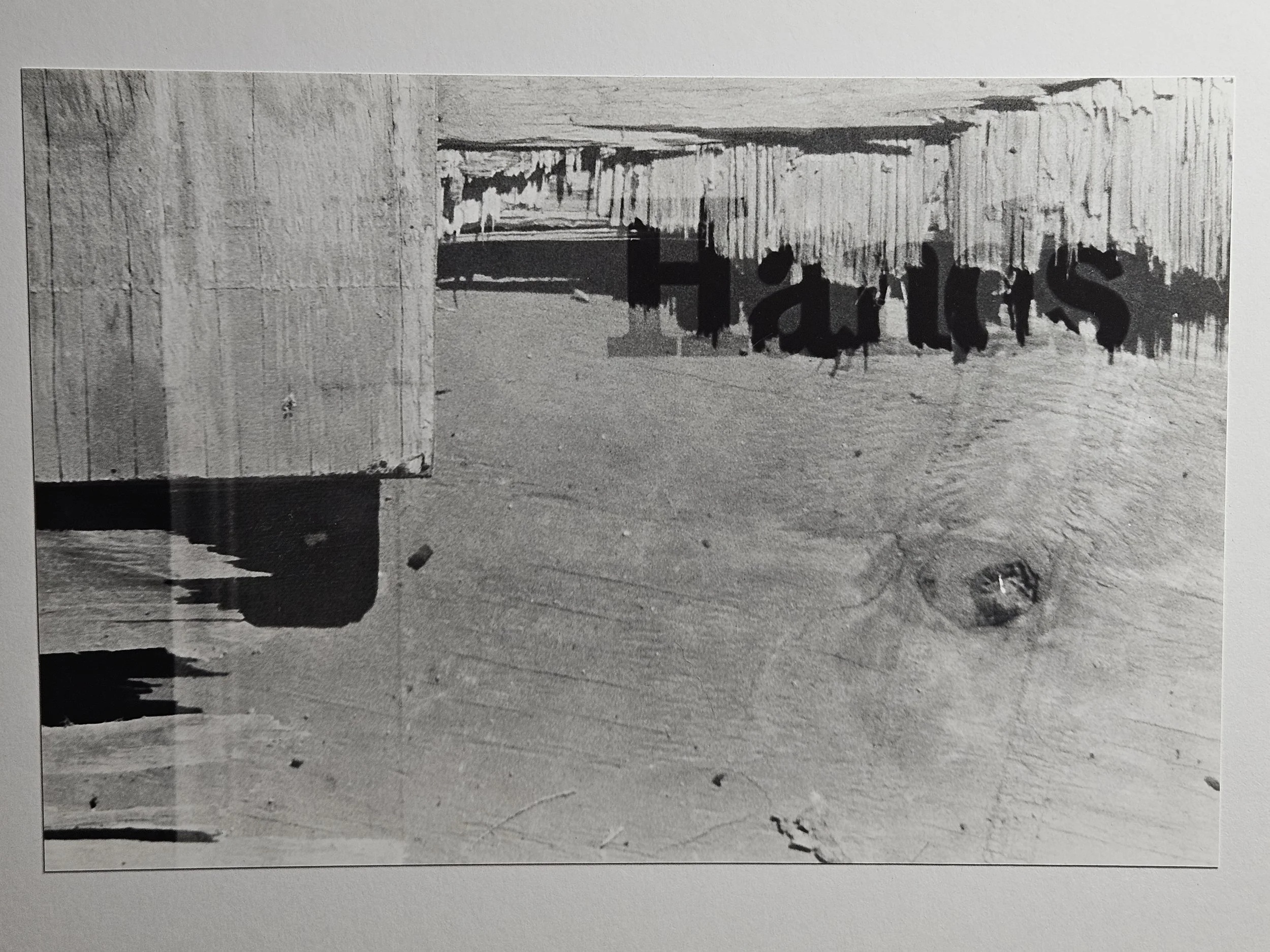 film photography - accidental double exposure 1