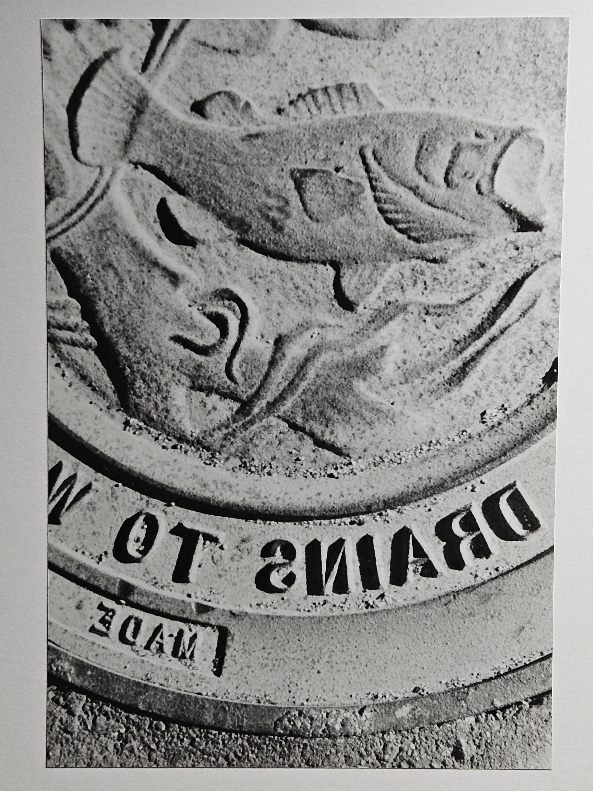 film photography - circle 1