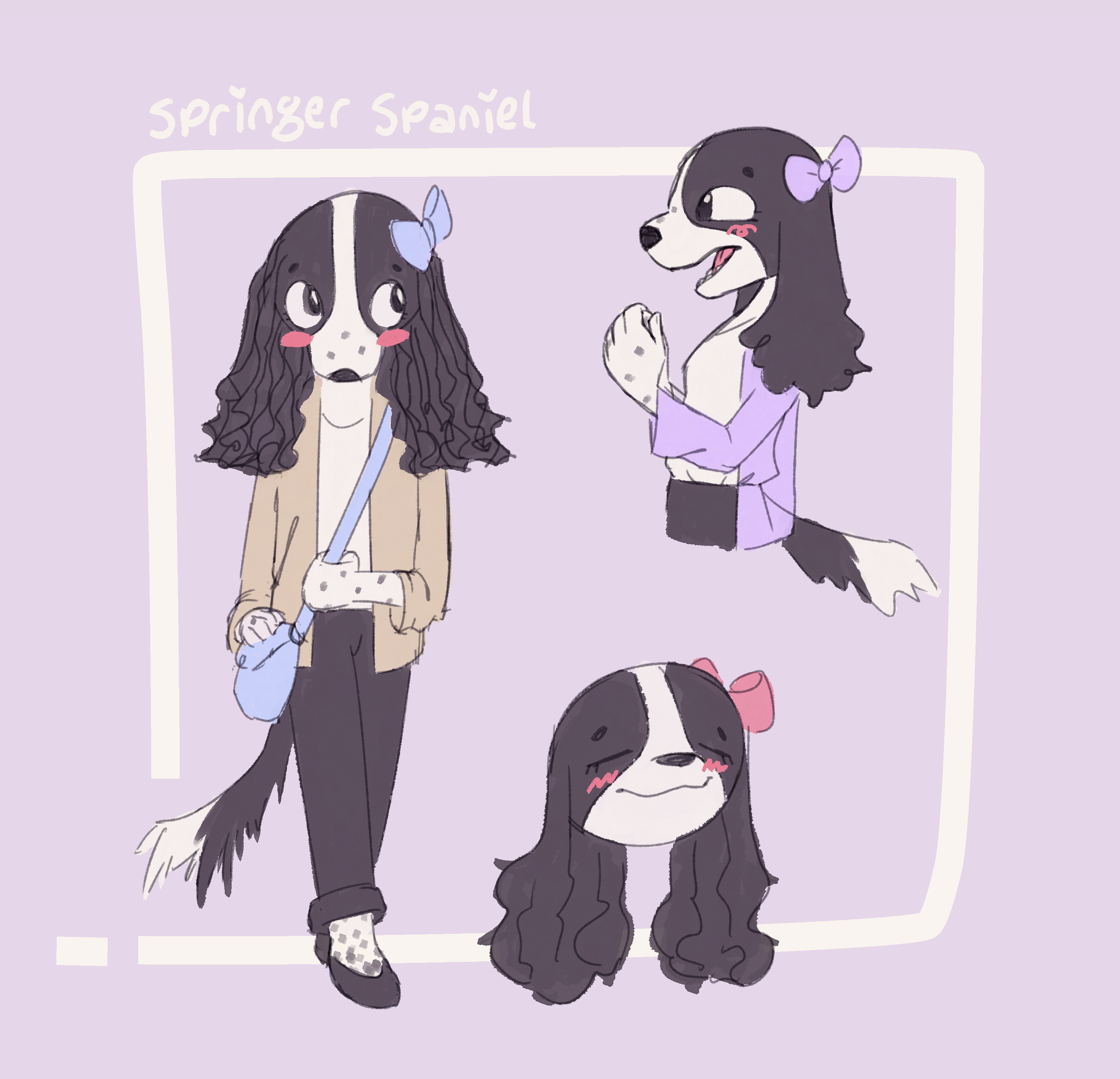dogsona - springer spaniel