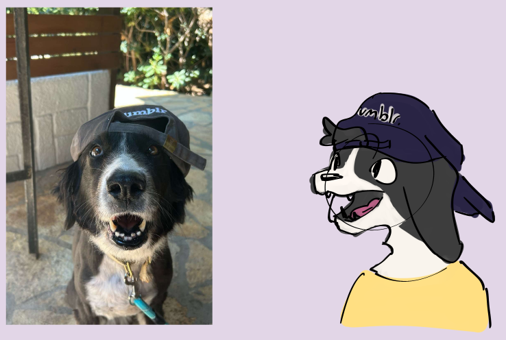 tumlrdog.png
