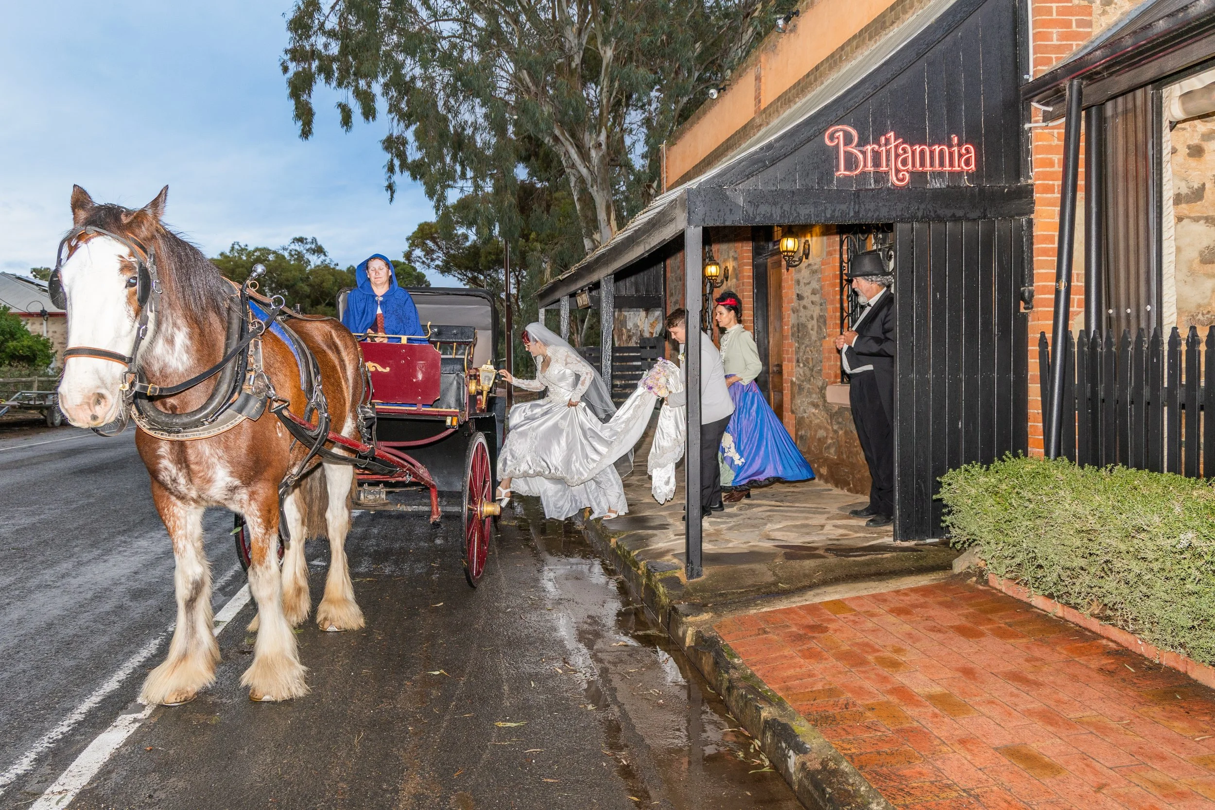 Wedding horse and cart