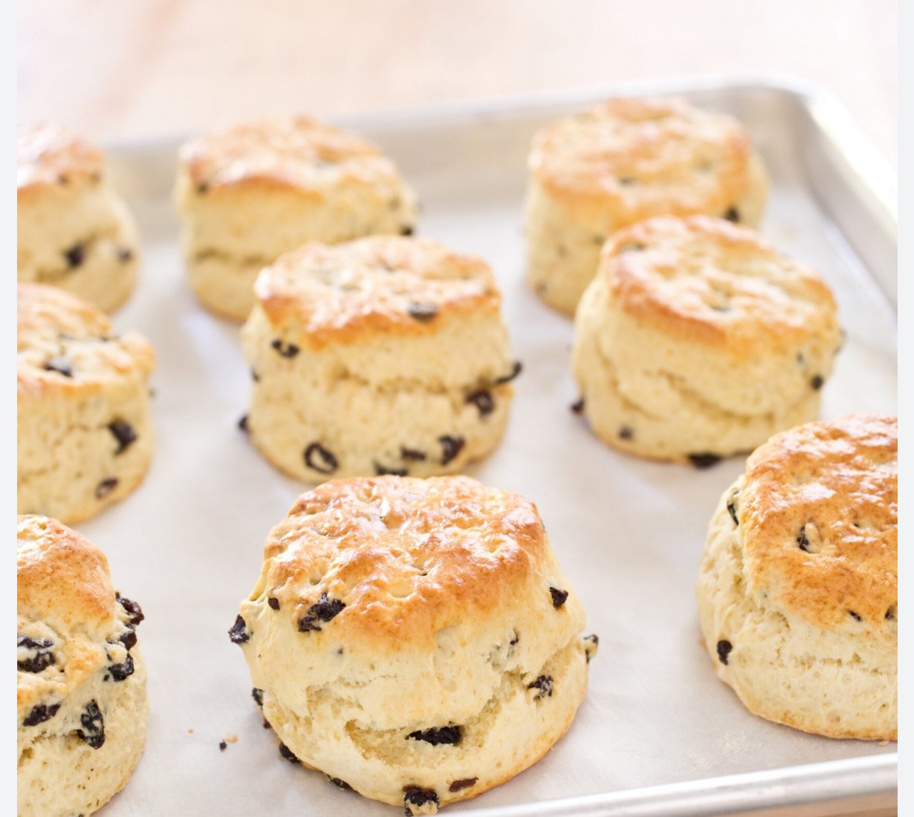 Classic English Cream Scone with Currants and a Sweet Drizzle (4) Preorder for 5/10 delivery